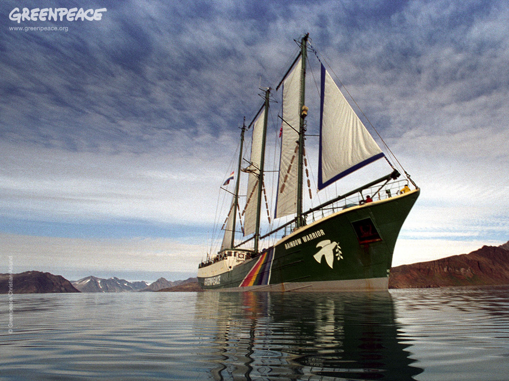 Greenpeace Wallpaper HD Wallpaper