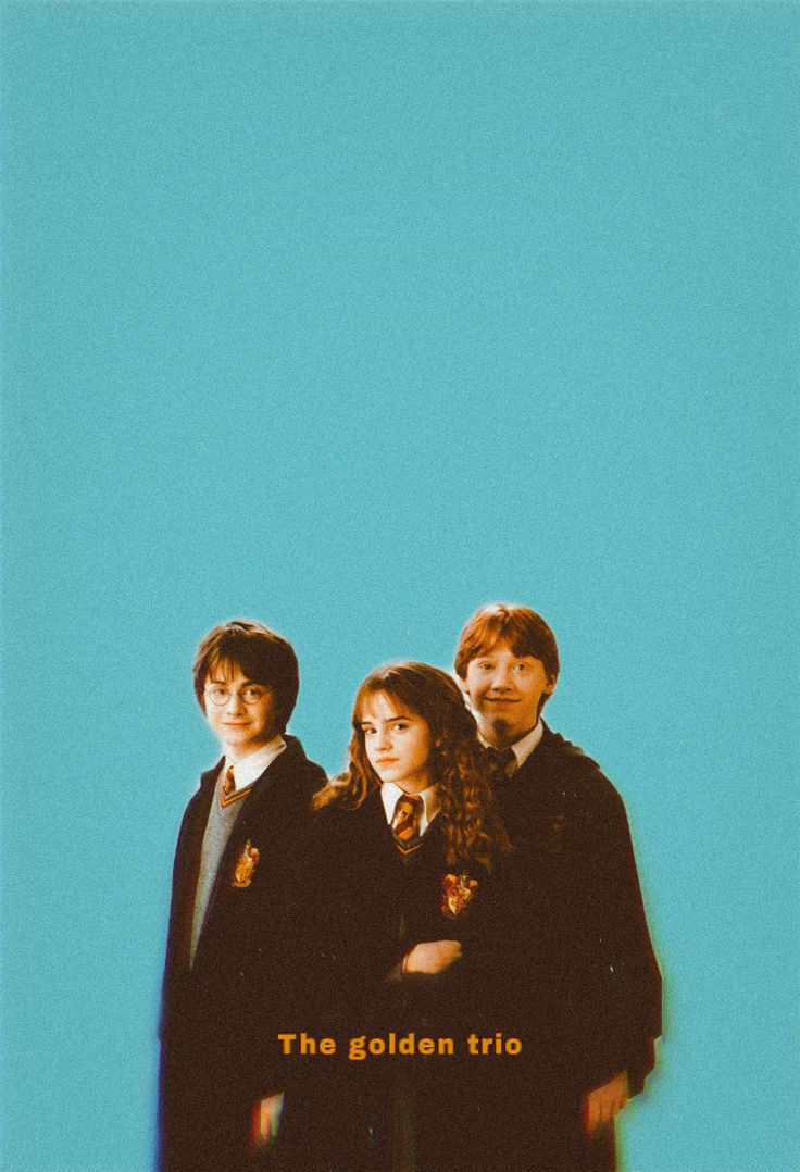 The golden trio aestethic wallpaper. Harry potter wallpaper, Slytherin aesthetic, Gryffindor aesthetic