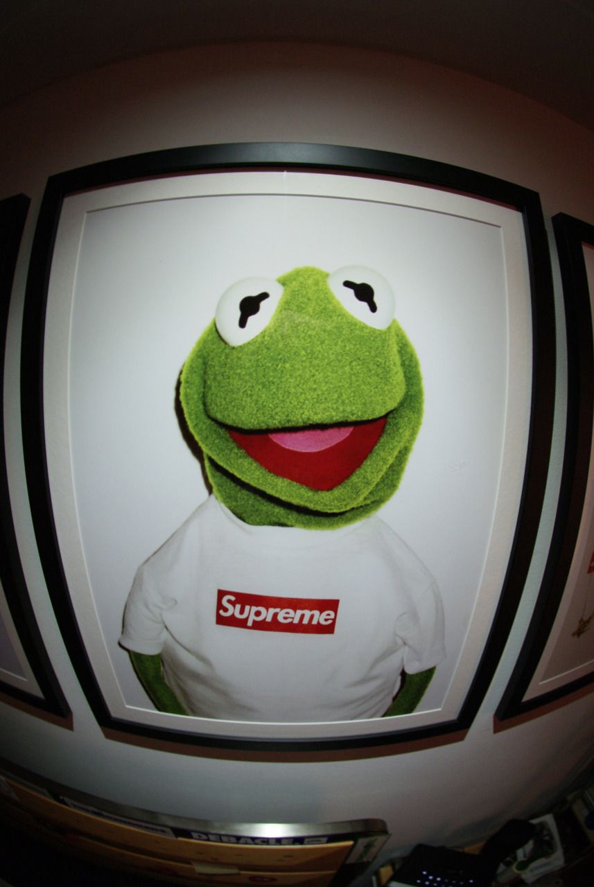Supreme Kermit the Frog Wallpaper