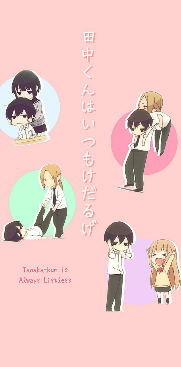 Tanaka Kun Wallpaper