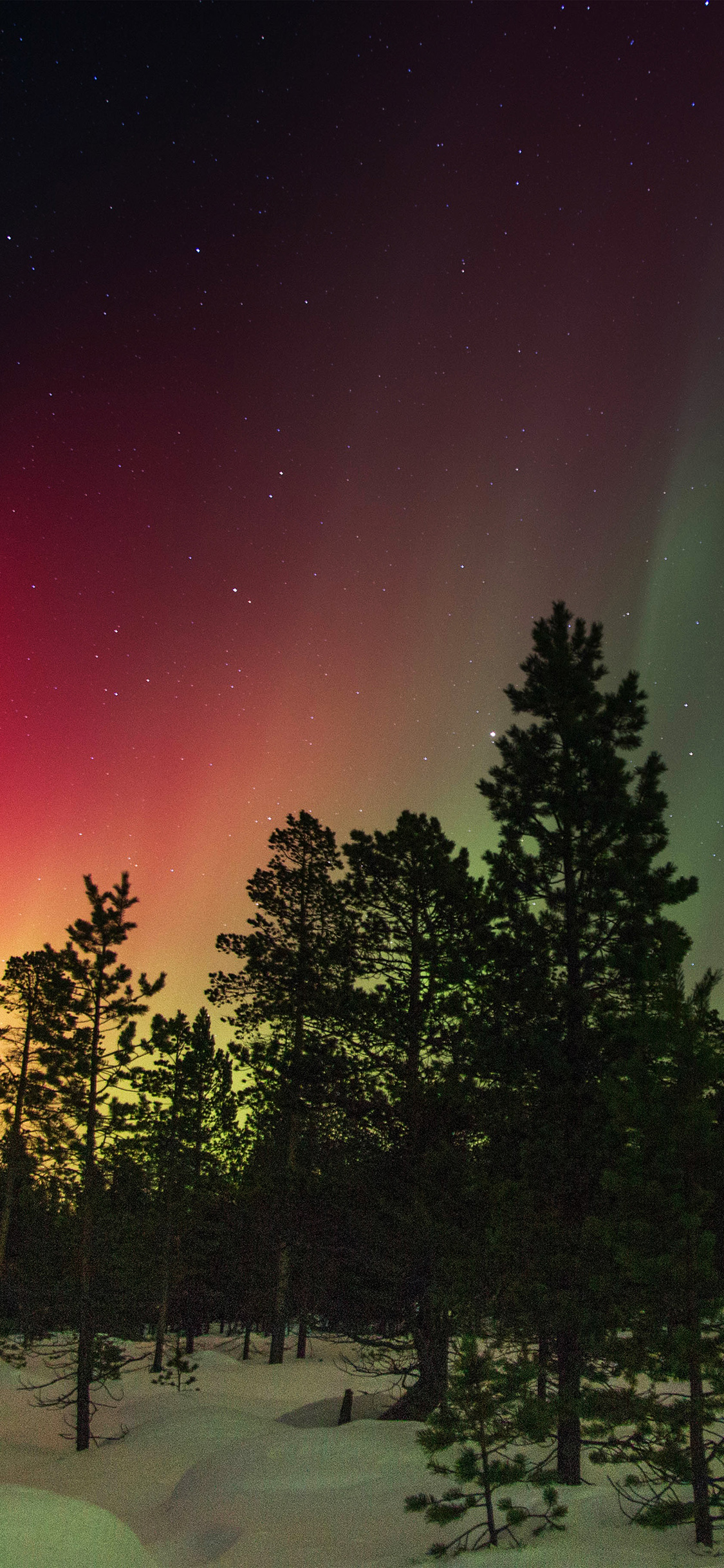 Sky Aurora Christmas Wallpaper For iPhone X Background iPhone X