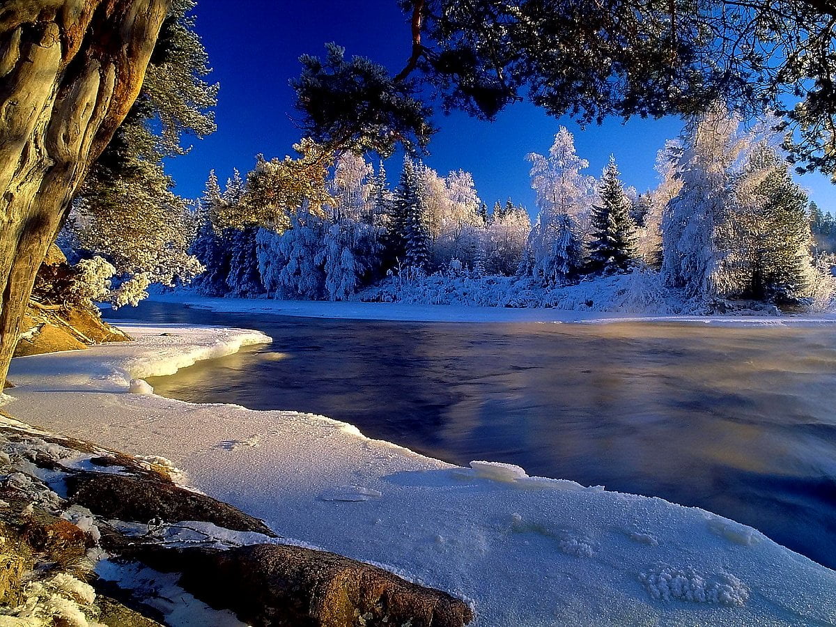 Nature, Winter, Snow wallpaper. Download Free wallpaper
