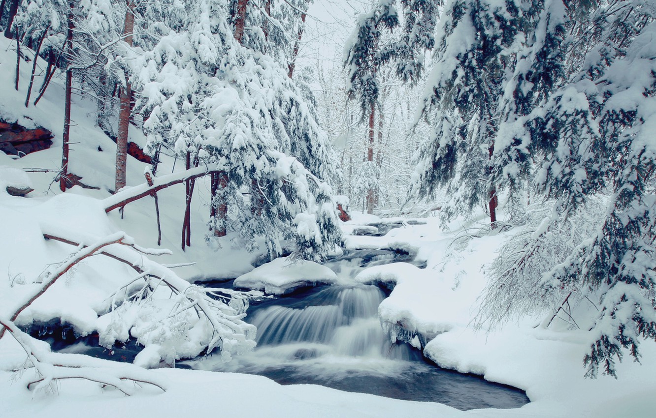 Wallpaper winter, forest, snow, trees, stream, the snow, river image for desktop, section пейзажи