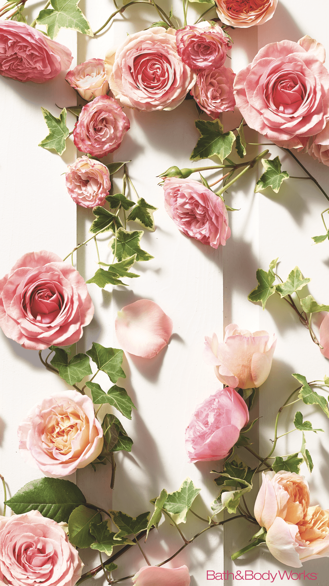Rose iPhone Wallpaper Roses Wallpaper For Mobile