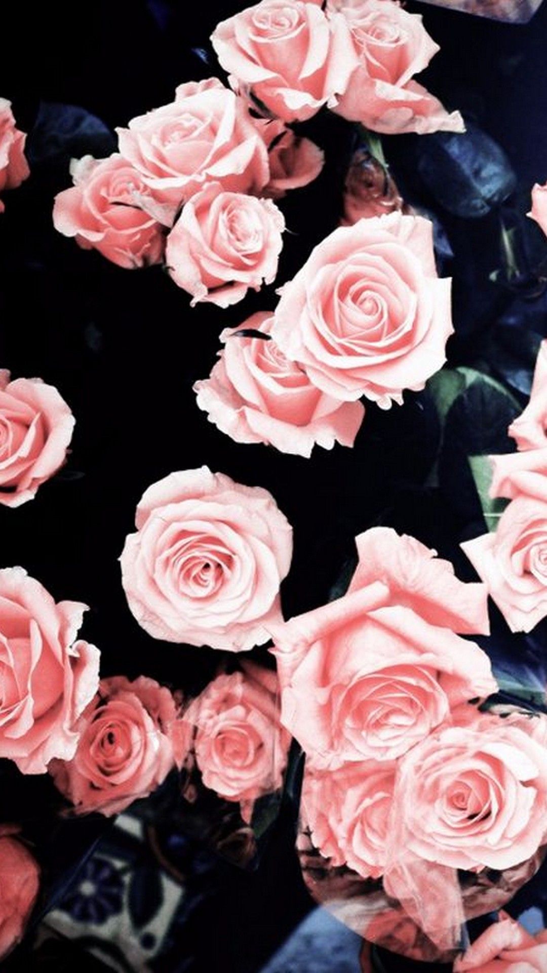Pink Rose Girly Wallpaper For Mobile. Best HD Wallpaper. Flower wallpaper, iPhone wallpaper girly, Flowers