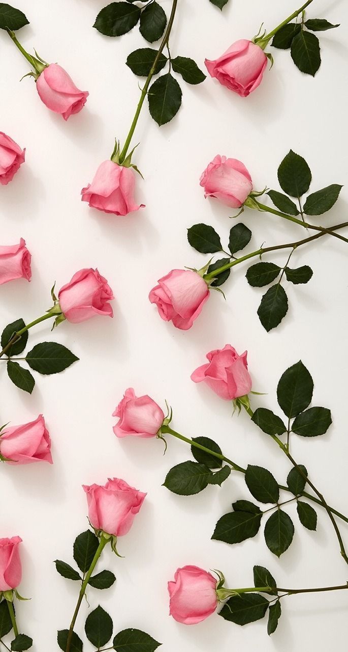 pink roses #style #florals. Rose wallpaper, Flower wallpaper, Photography wallpaper