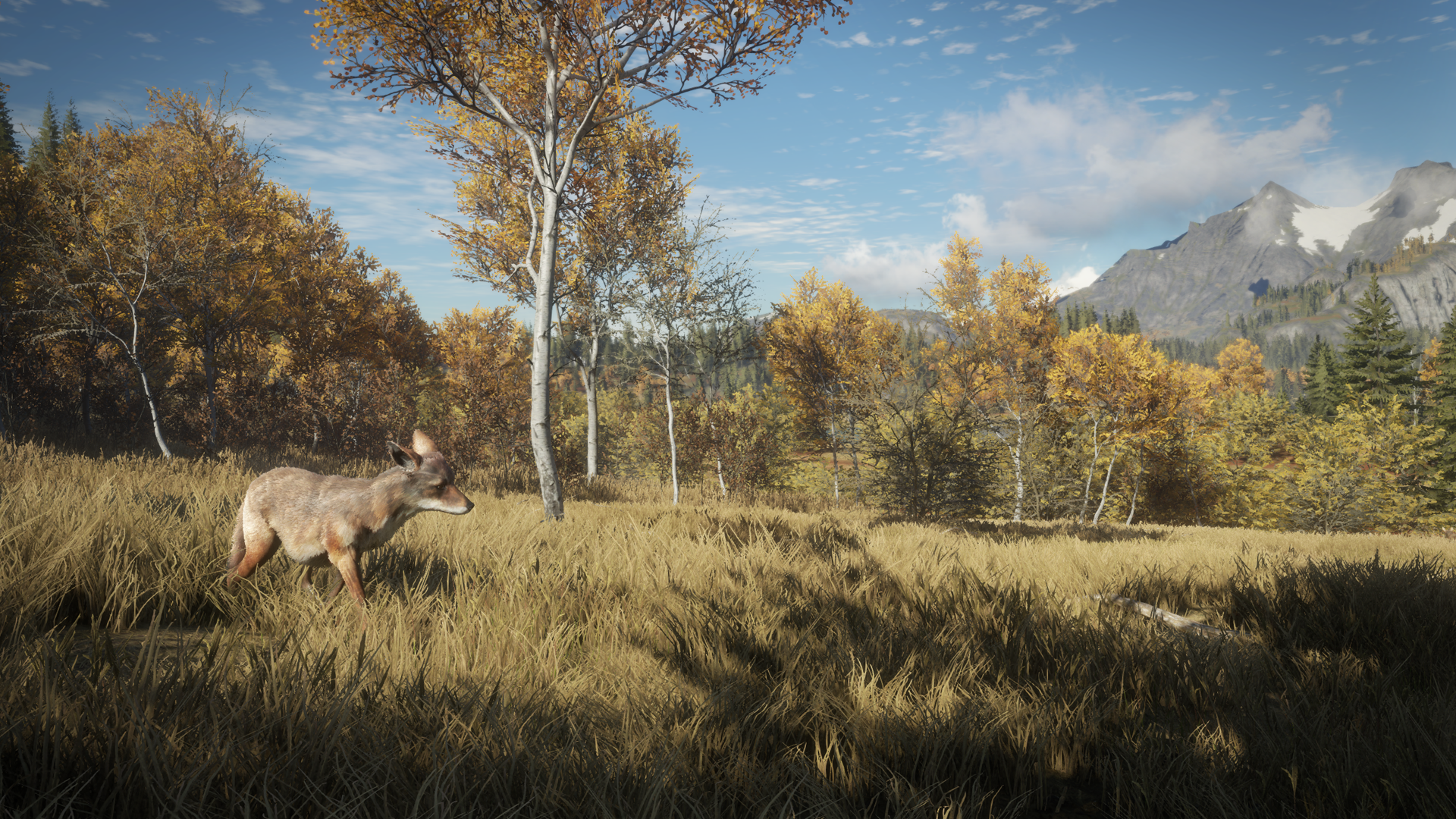 Picture Of TheHunter: Call Of The Wild 27 38