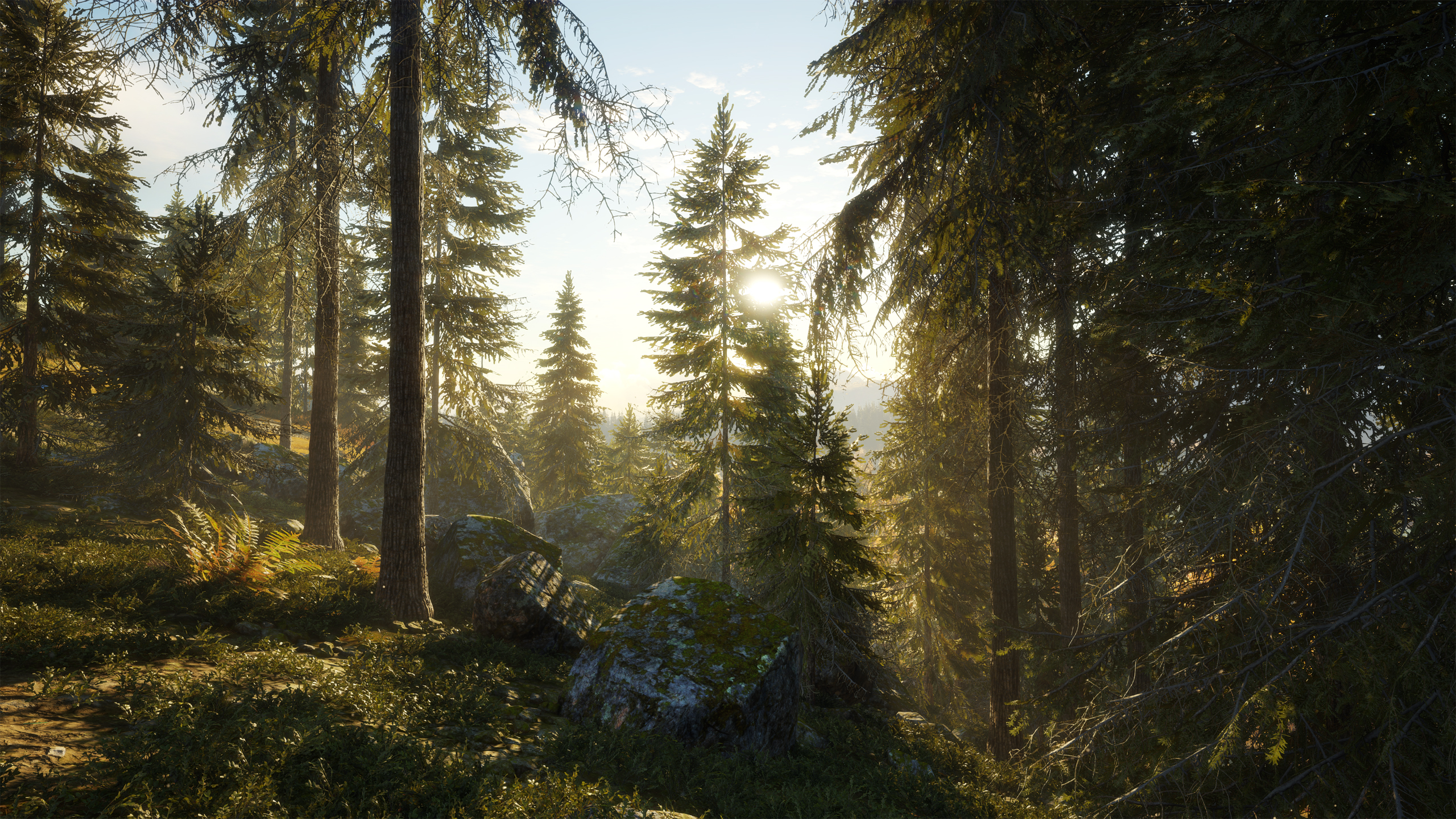 TheHunter: Call Of The Wild HD Wallpaper