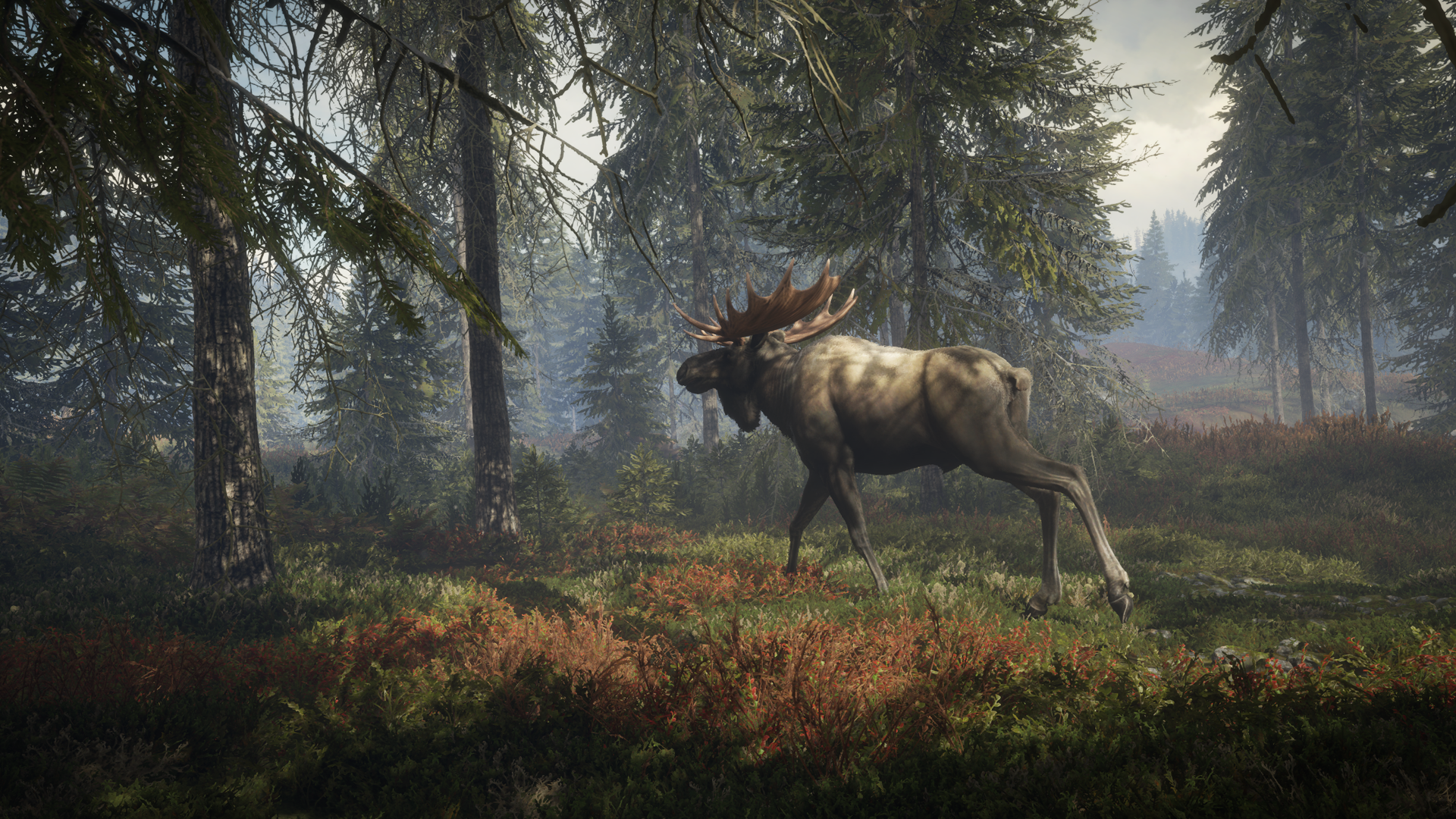 theHunter Call of the Wild Moose Forest