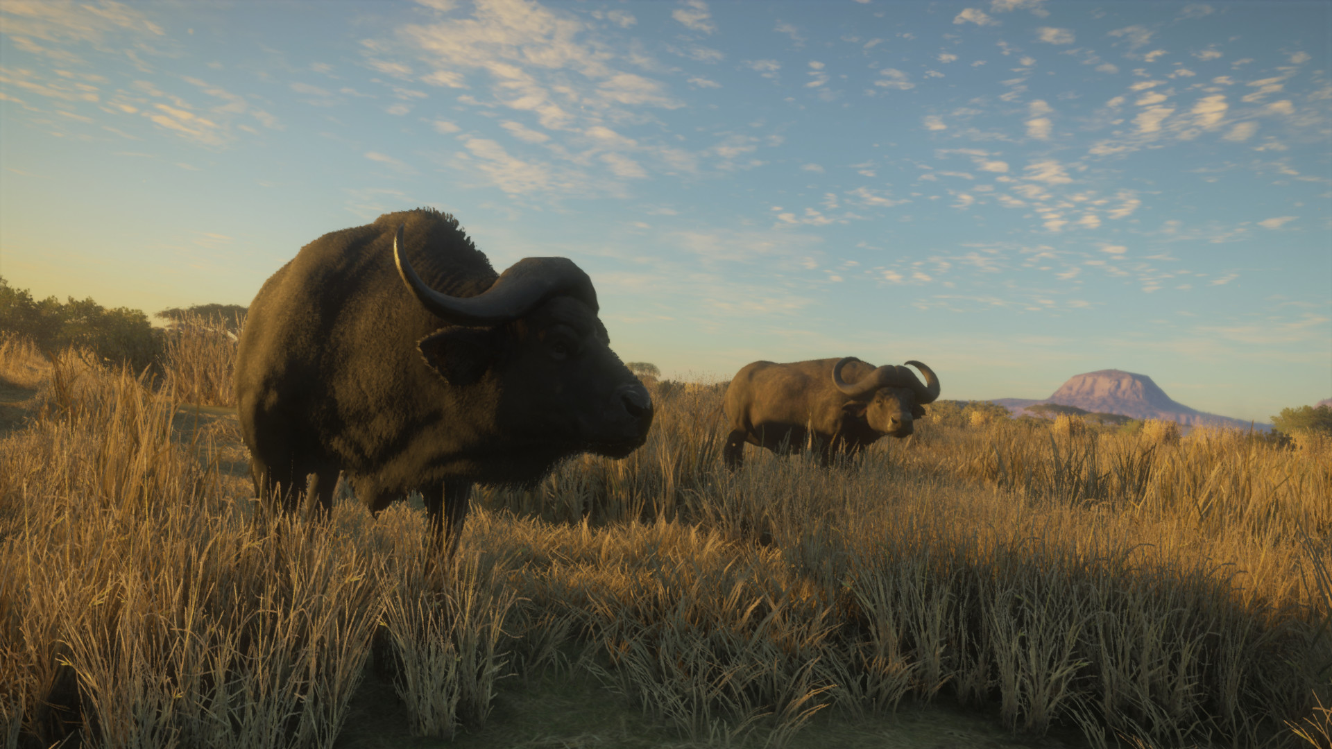 theHunter Call of the Wild 2019 Edition Is Packed With Previous DLC