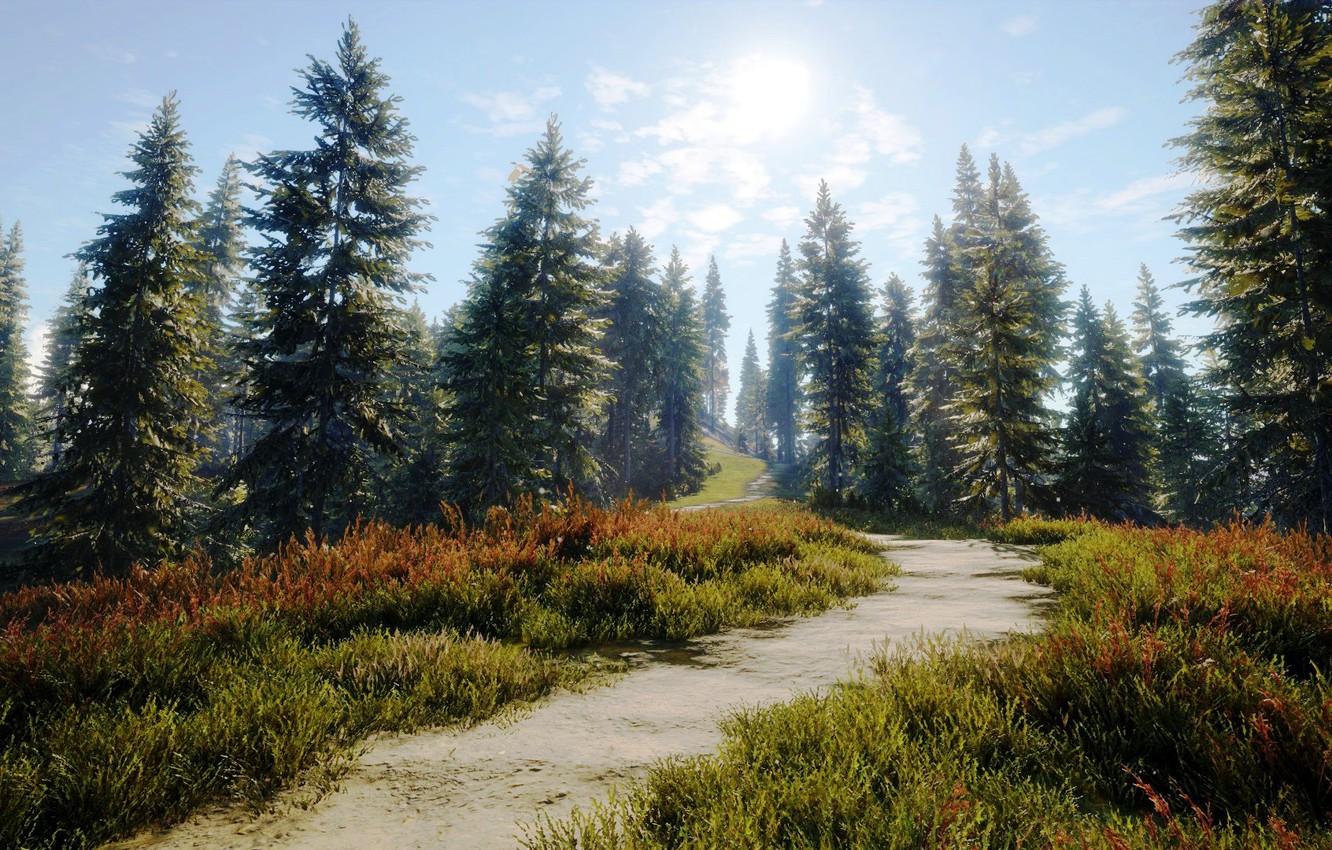 Wallpaper Nature, Road, Path, Trees, Forest, Art, Hunter, theHunter: Call of the Wild image for desktop, section игры