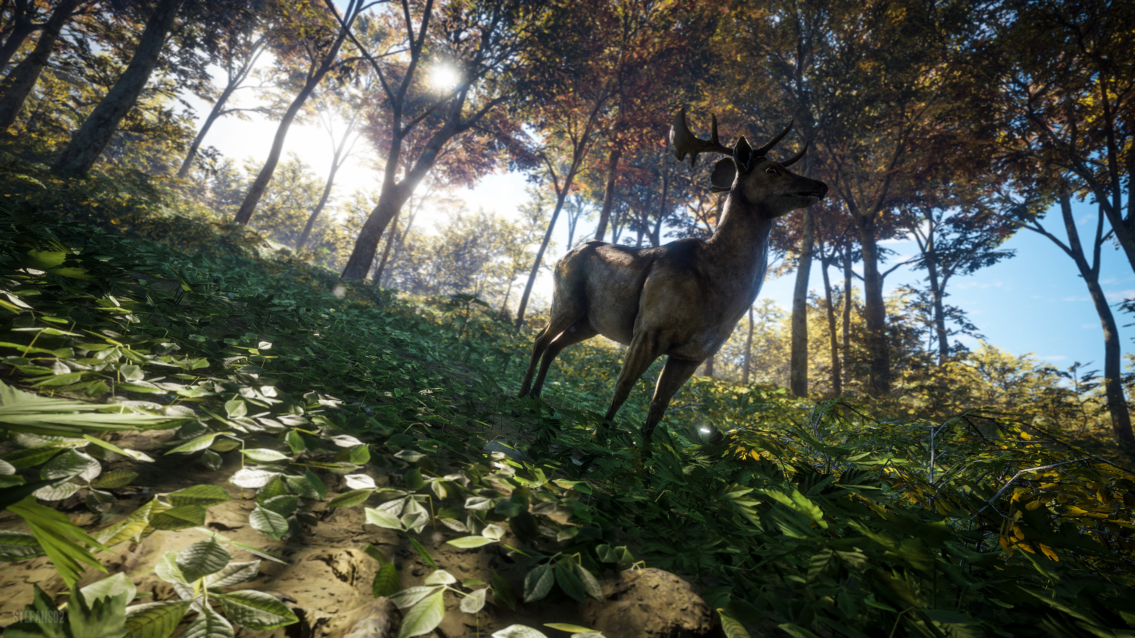theHunter: Call of The Wild HD