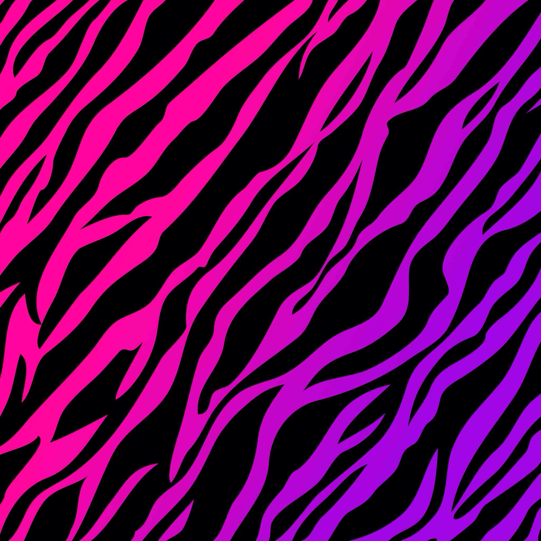 Zebra Stripes Wallpaper Rainbow Leopard Print HD Wallpaper