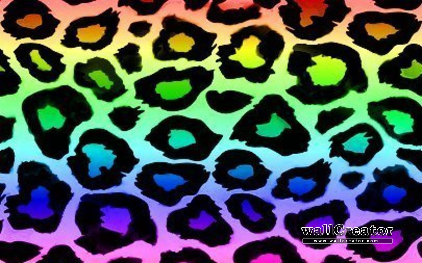 Free download Rainbow leopard print 1440 900 Wallpaper [1440x900] for your Desktop, Mobile & Tablet. Explore Rainbow Zebra Print Wallpaper. Rainbow Cheetah Wallpaper, Rainbow Zebra Wallpaper Border, Cheap Zebra Print Wallpaper Border