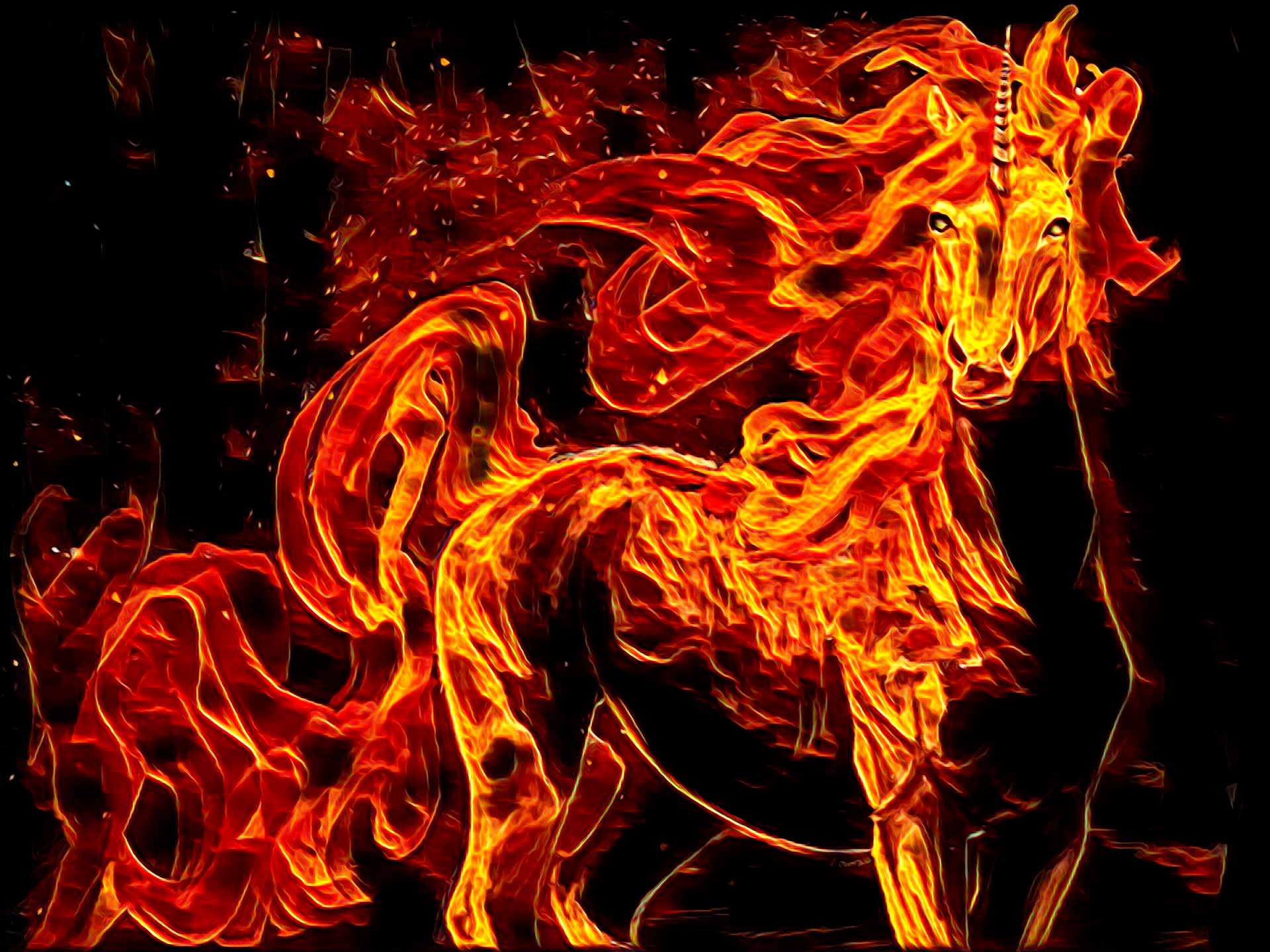 Fiery Horse Unicorn HD Wallpaper