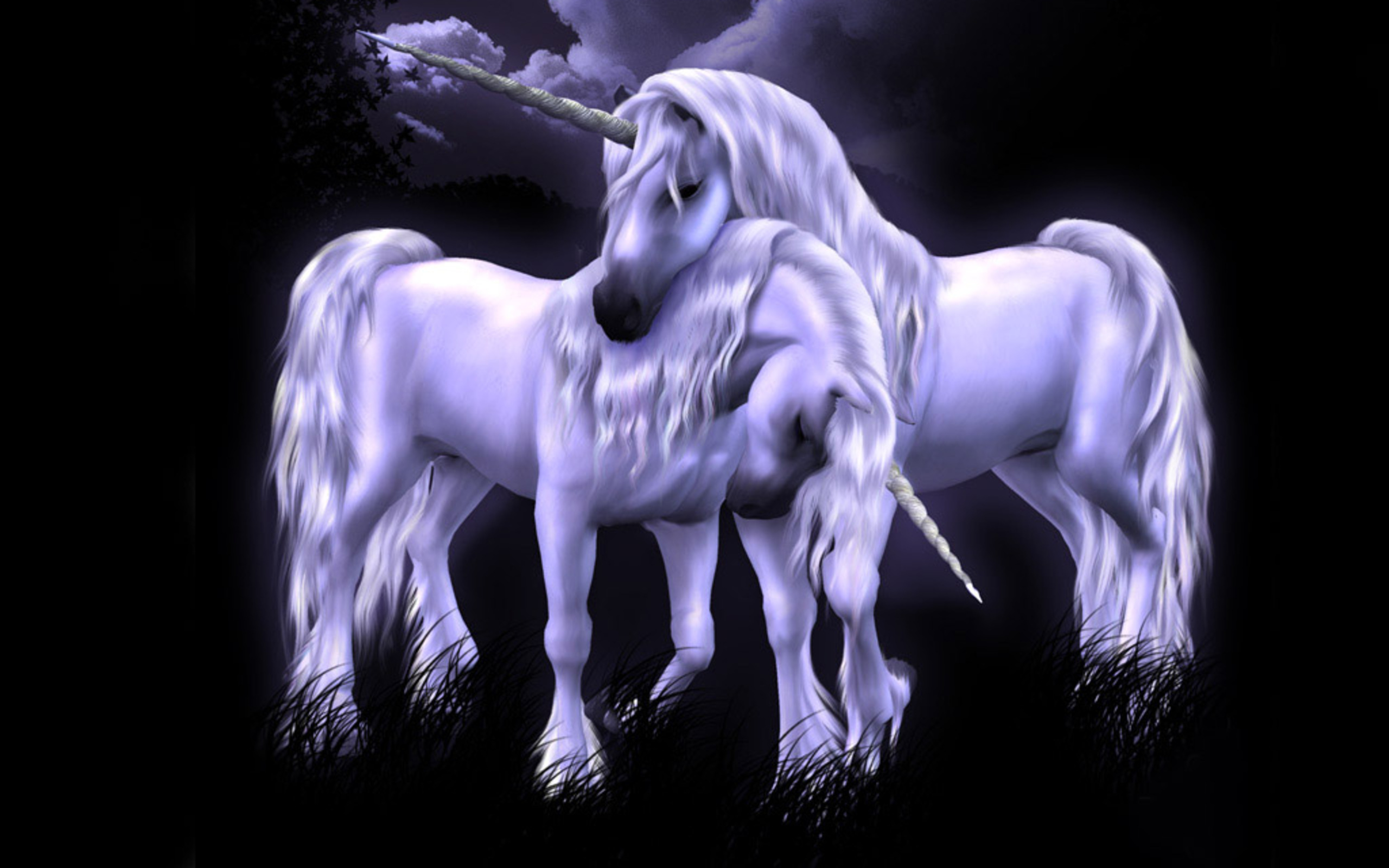 unicorn, Horse, Magical, Animal Wallpaper HD / Desktop and Mobile Background