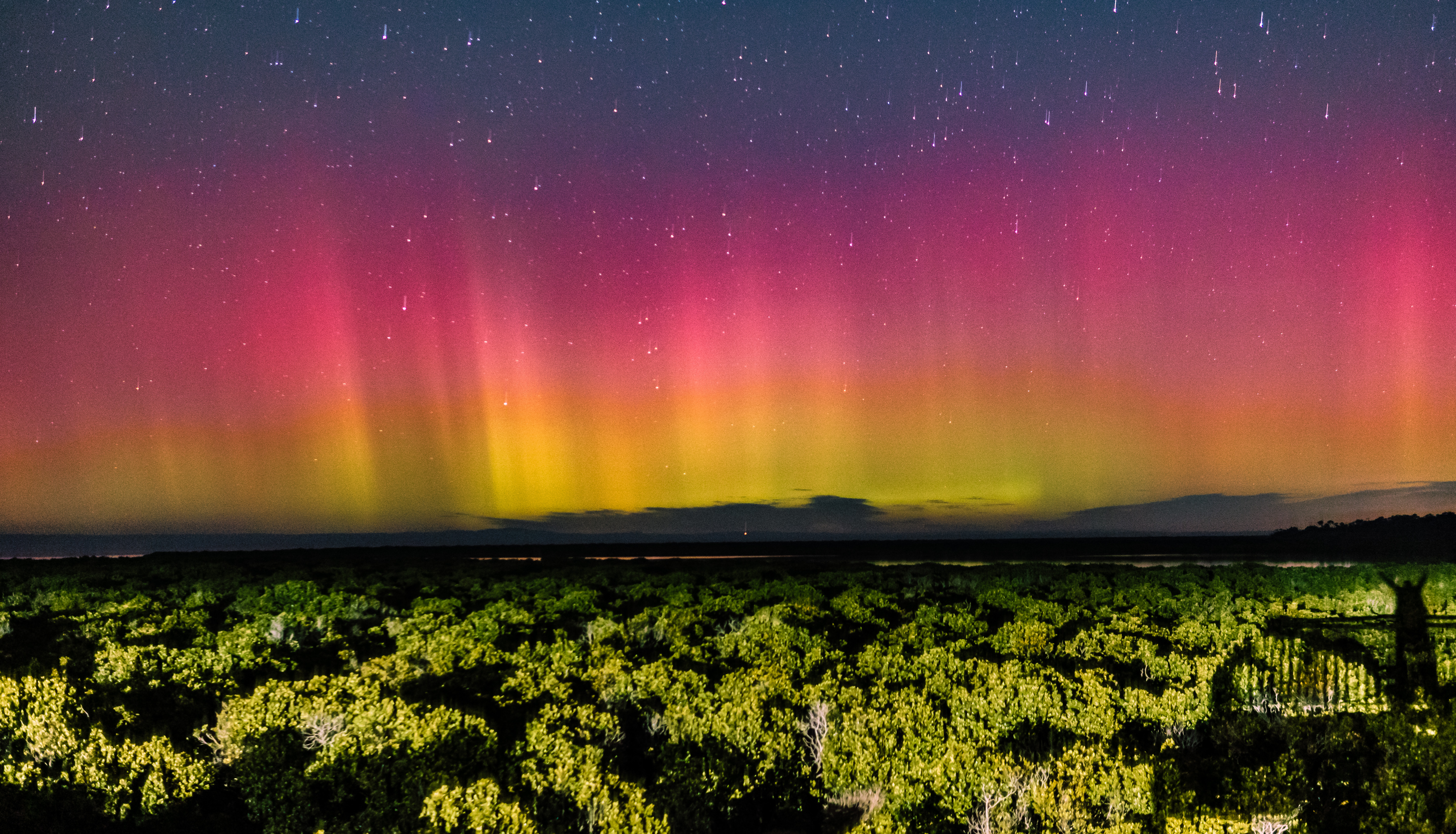 Aurora australis: Where to find the 'magical' southern lights