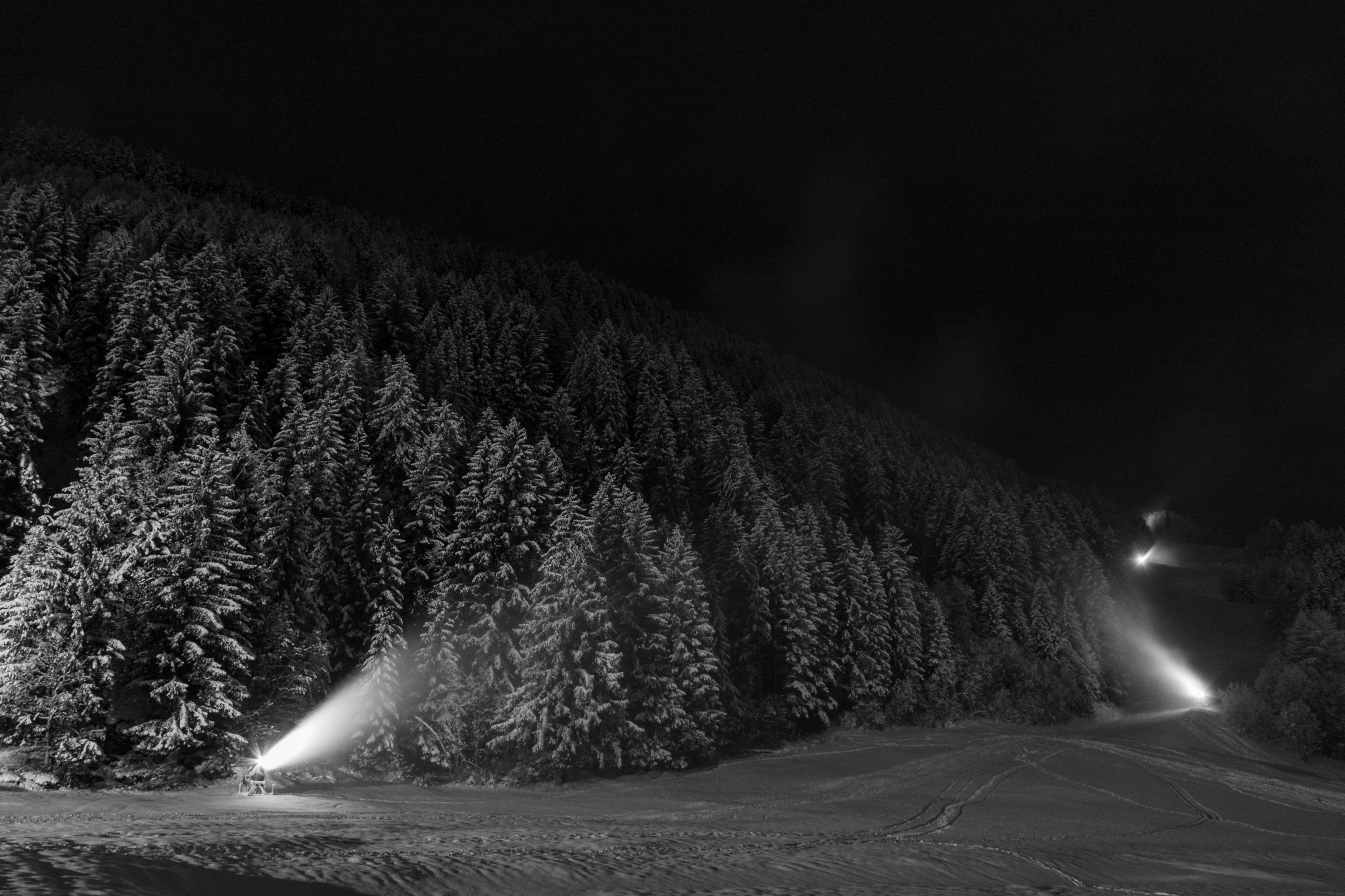 Wallpaper / a dark black and white shot of a forest with snow covered trees and spotlights, spotlights in forest 4k wallpaper