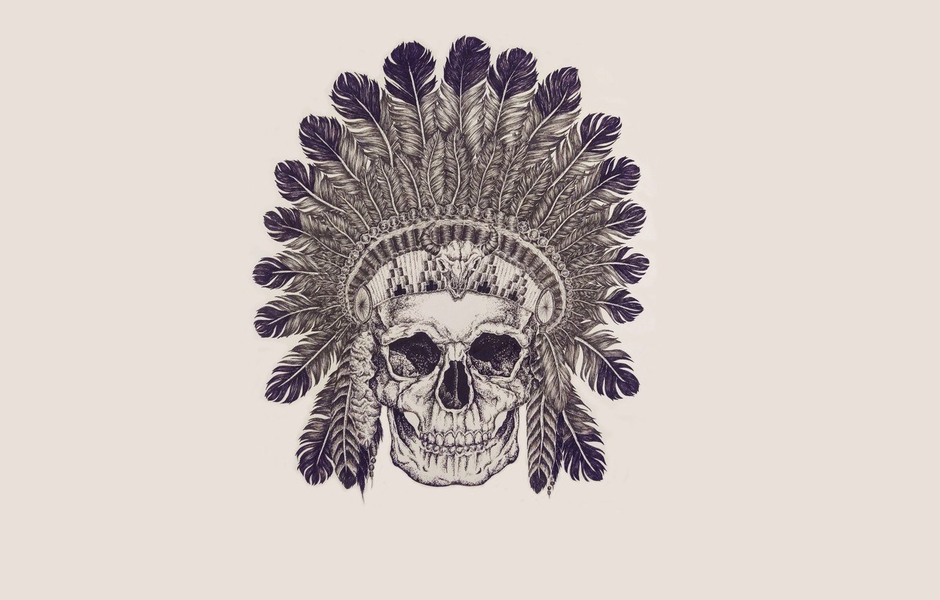 Wallpaper skull, feathers, skeleton, sake, Indian, indian image for desktop, section минимализм