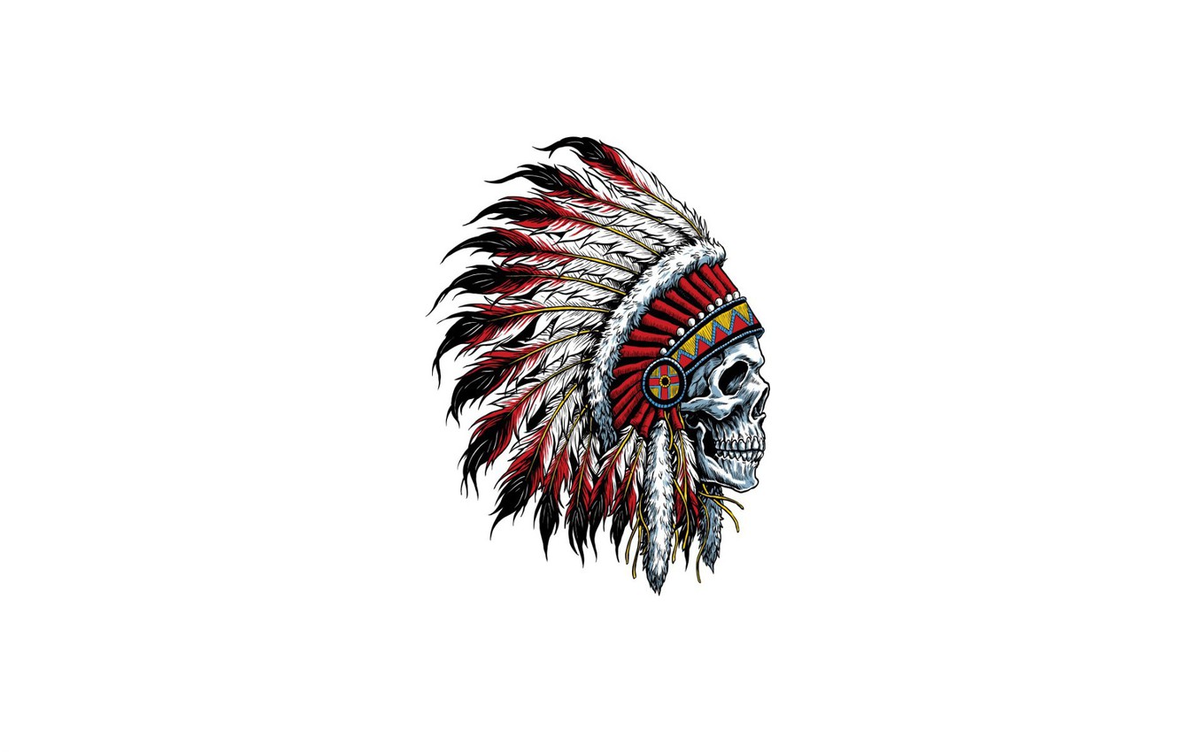 Wallpaper skull, feathers, Indian, headdress image for desktop, section минимализм