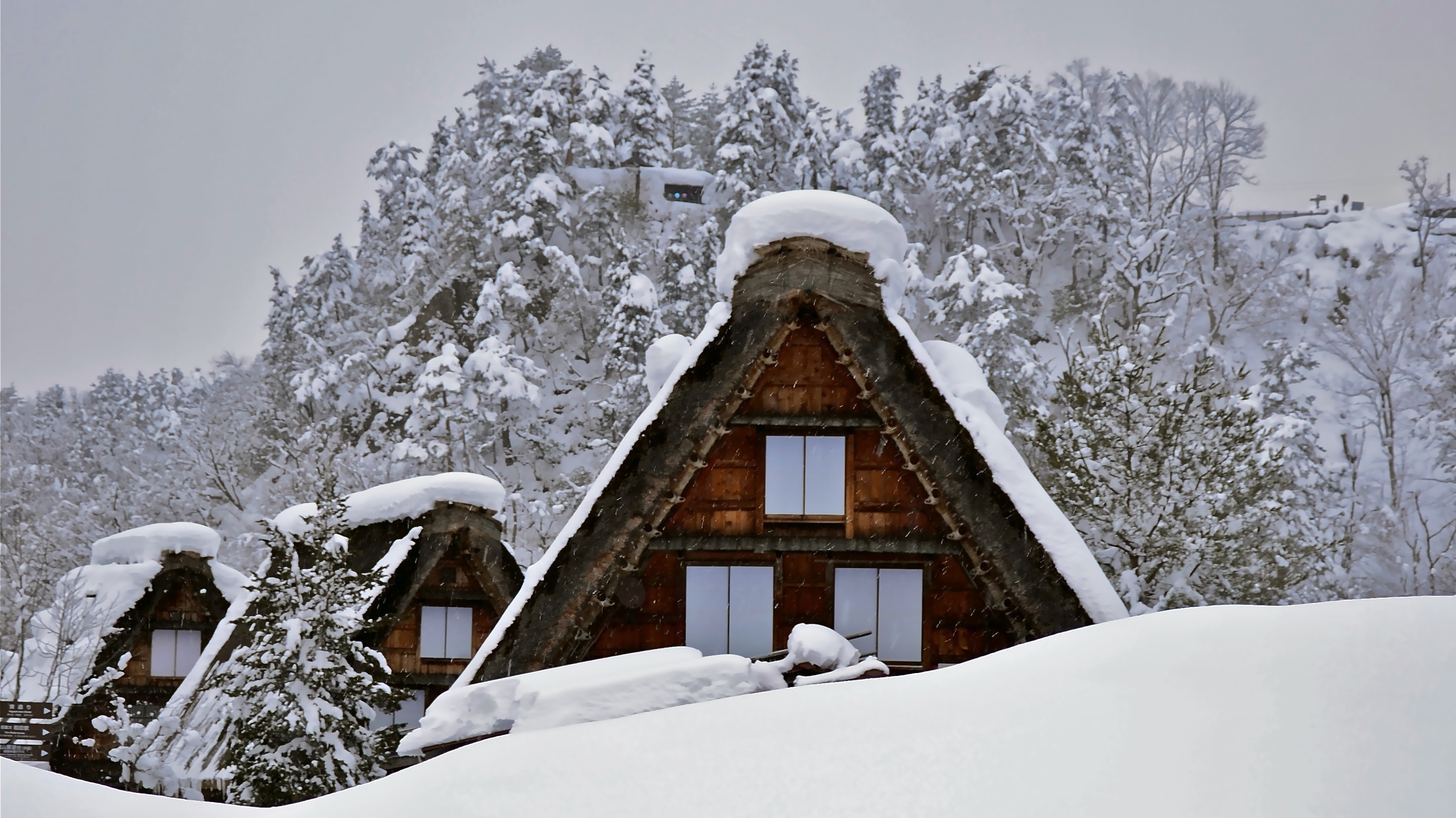 Wallpaper, Japan, Asia, snow, photography, house, ice, frost, Nikon, Christmas, holiday, Freezing, tree, travel, flickr, photo, xmas, holidays, digital, dslr, unesco, interesting, blizzard, best, foto, nikond3100, unescoworldheritage, winterwonderland