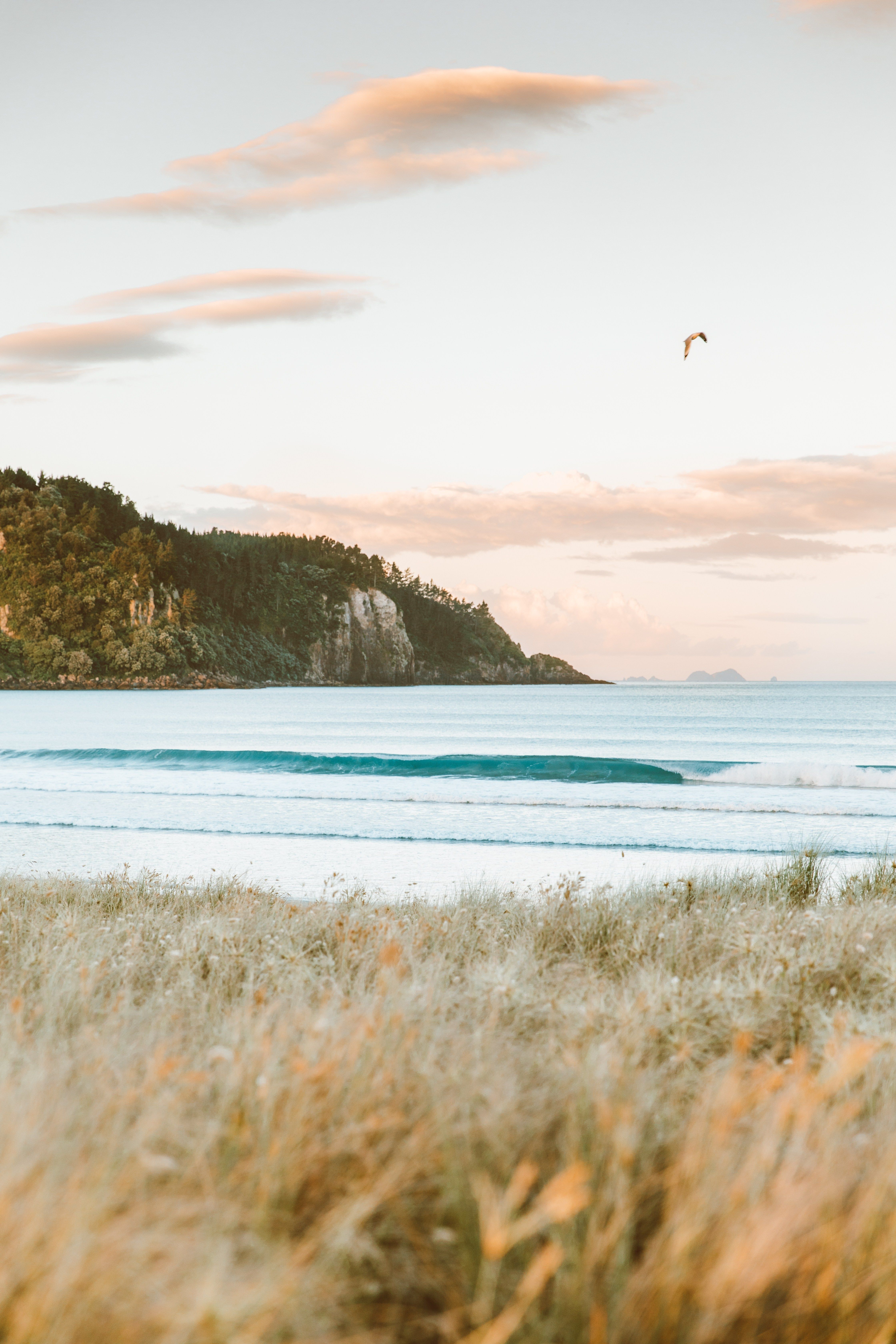 New Zealand Travel Guide: North Island & Coromandel Peninsula. New zealand travel guide, New zealand travel, Travel dreams