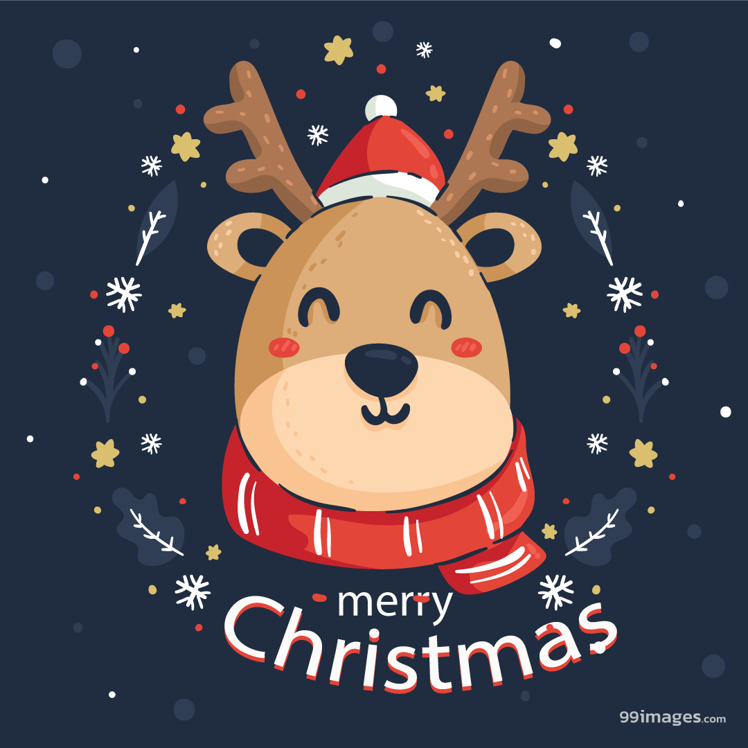 Christmas Latest HD Photo Wallpaper (1080p, 4k) #christmas #jesus #god #festivel #christm. Christmas Animals, Christmas Coloring Books, Christmas Image