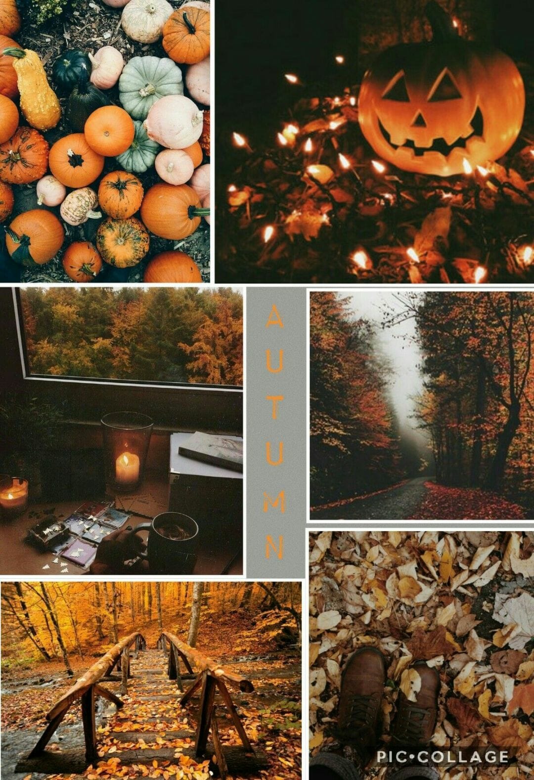 Hello Autumn Aesthetic HD Wallpaper (Desktop Background / Android / iPhone) (1080p, 4k) (1200x1752)