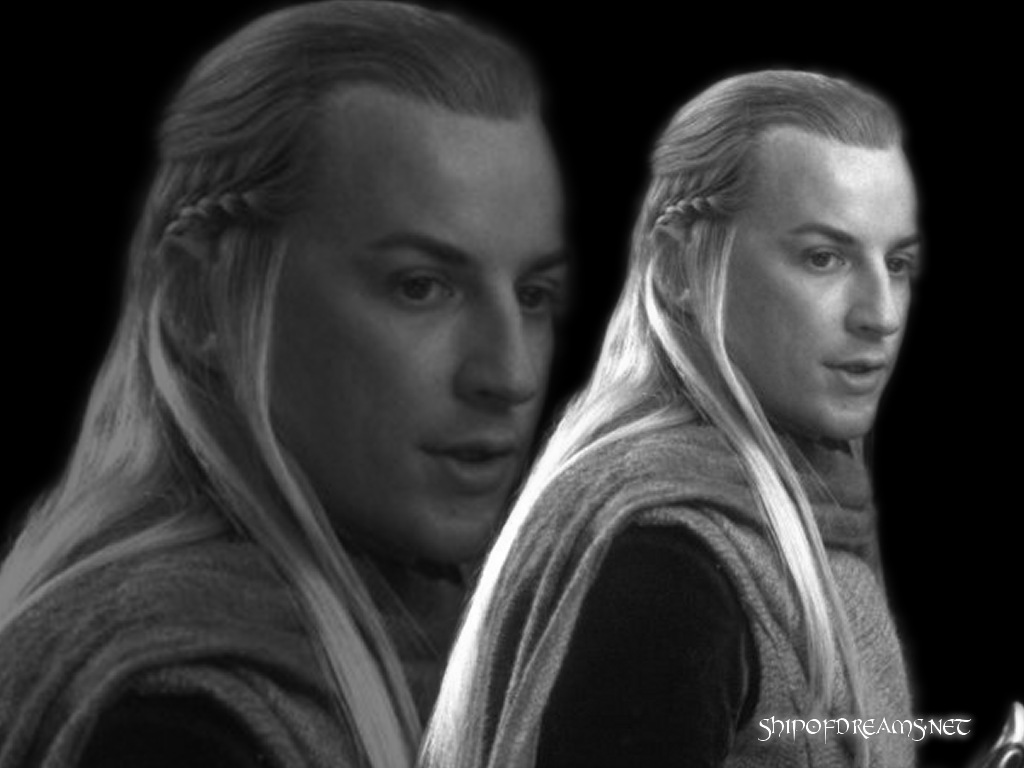 Haldir and Lorien Elves wallpaper image Tirith of the Rings