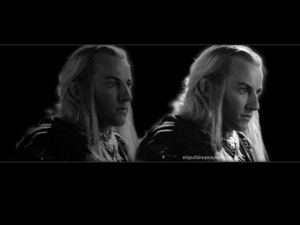 Haldir and Lorien Elves wallpaper image Tirith of the Rings