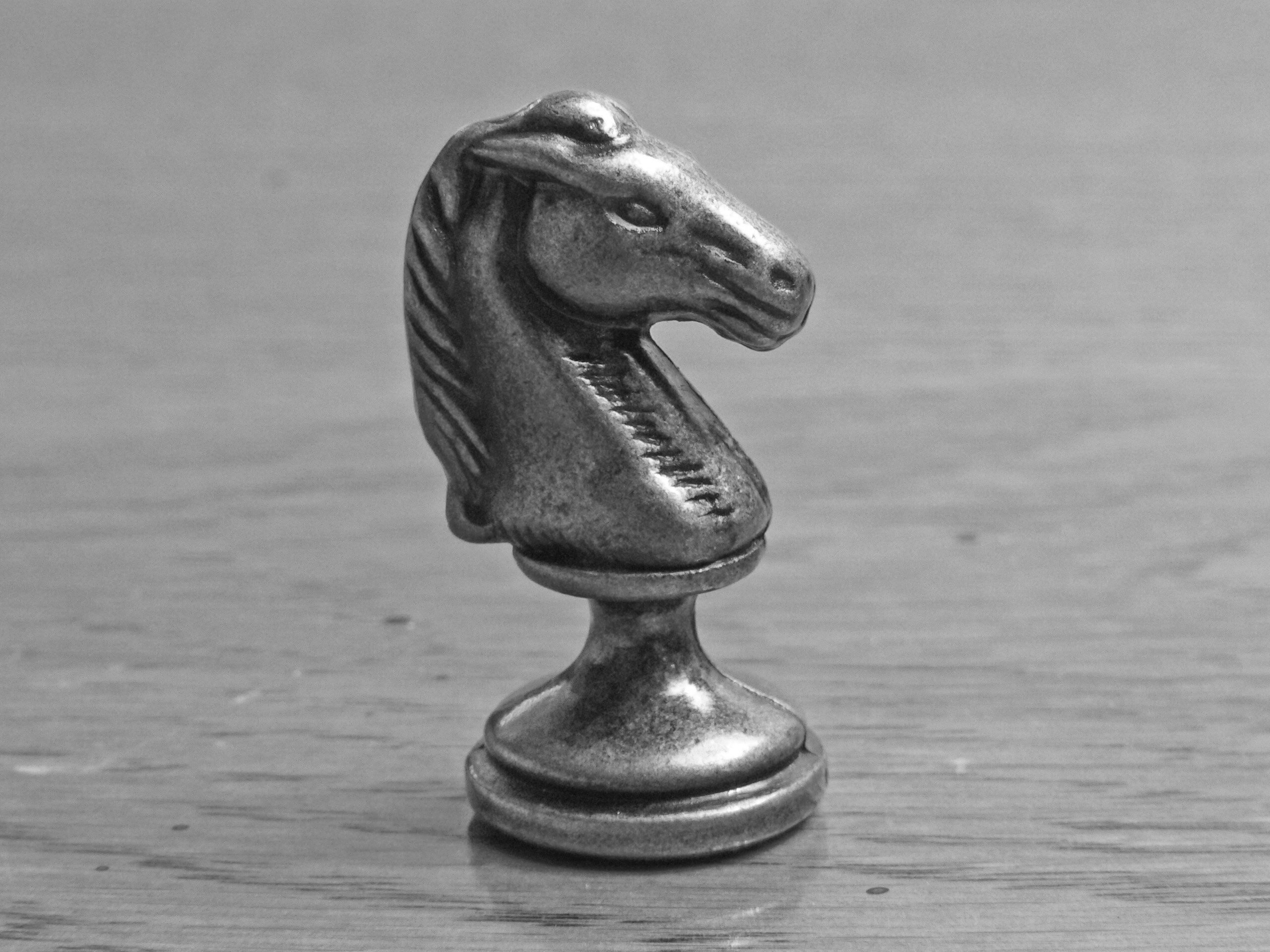 Chess Horse Wallpaper Free Chess Horse Background