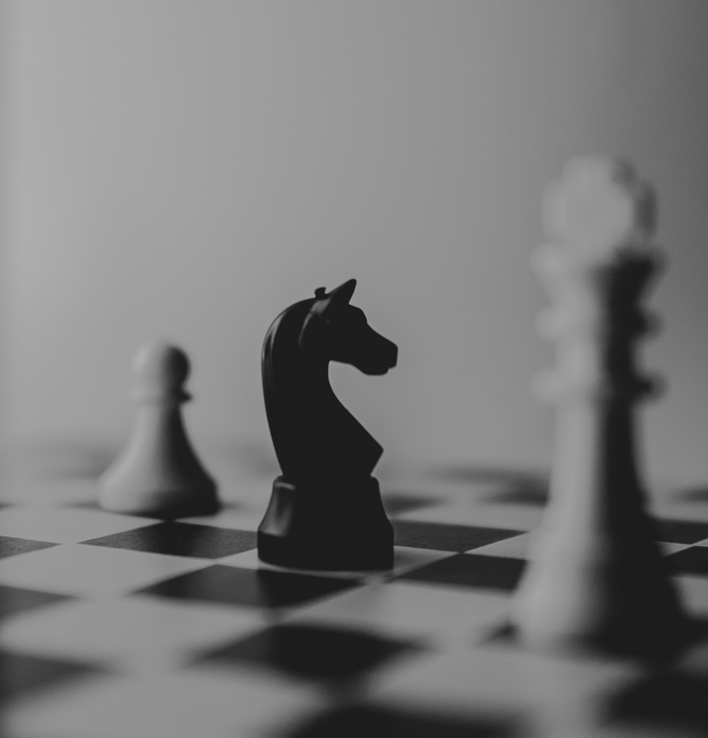 Chess Knight Picture. Download Free Image