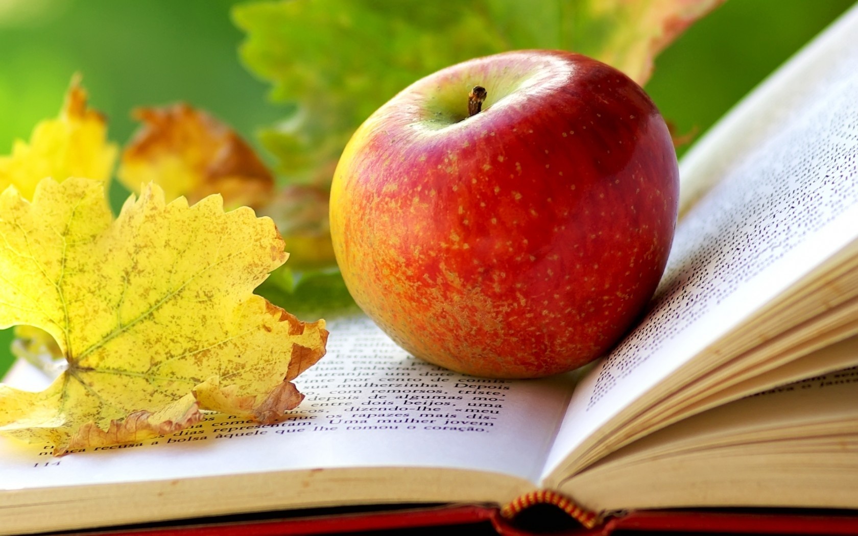 1680x1050 Apple, Book, Pages, Leaves, Autumn wallpaper JPG