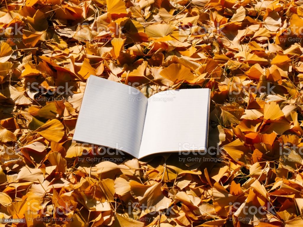 Fallen Autumn Leaves Background With Open Book In Outdoor Image Now