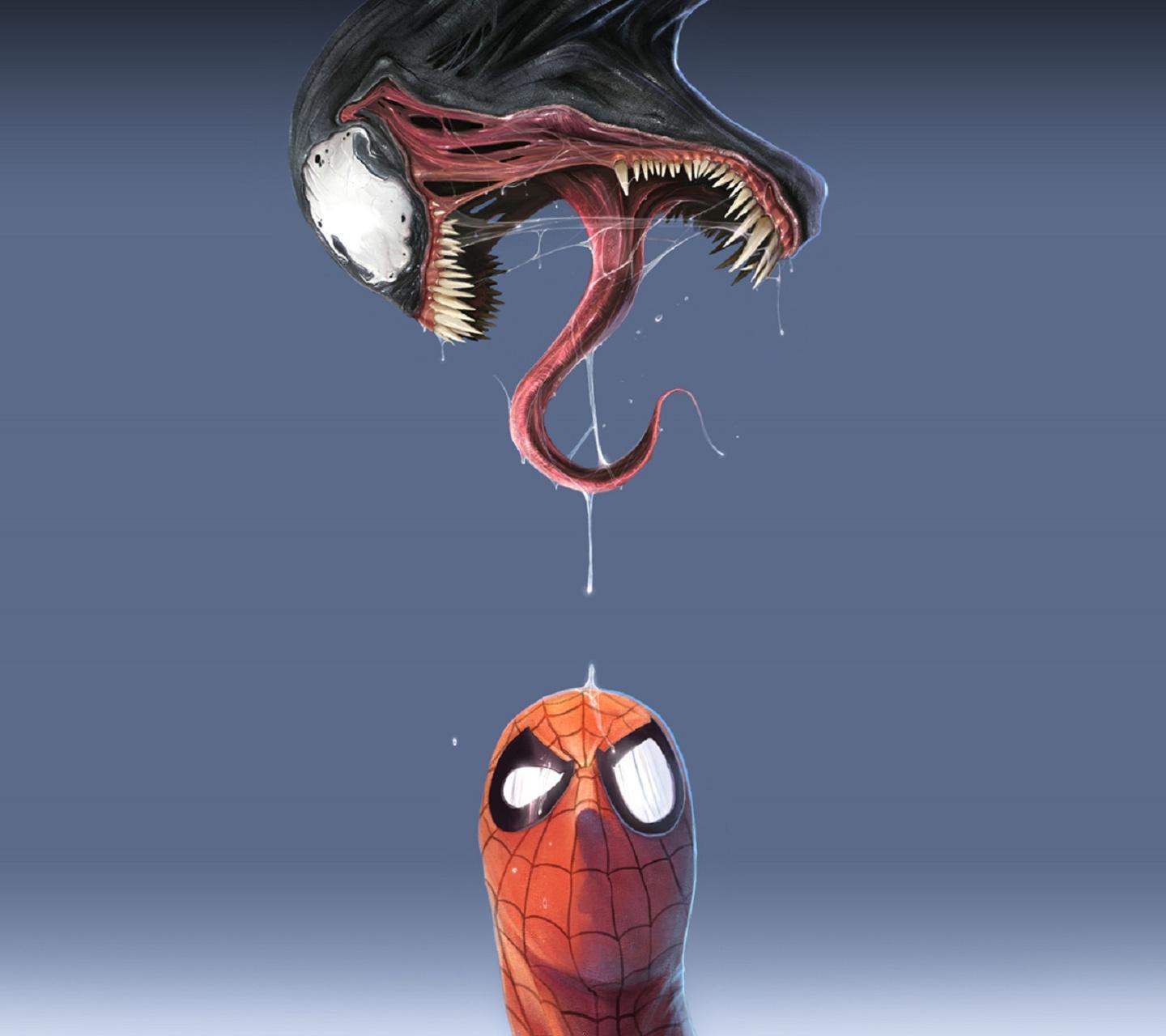Download Spiderman and venom wallpaper for your mobile cell phone