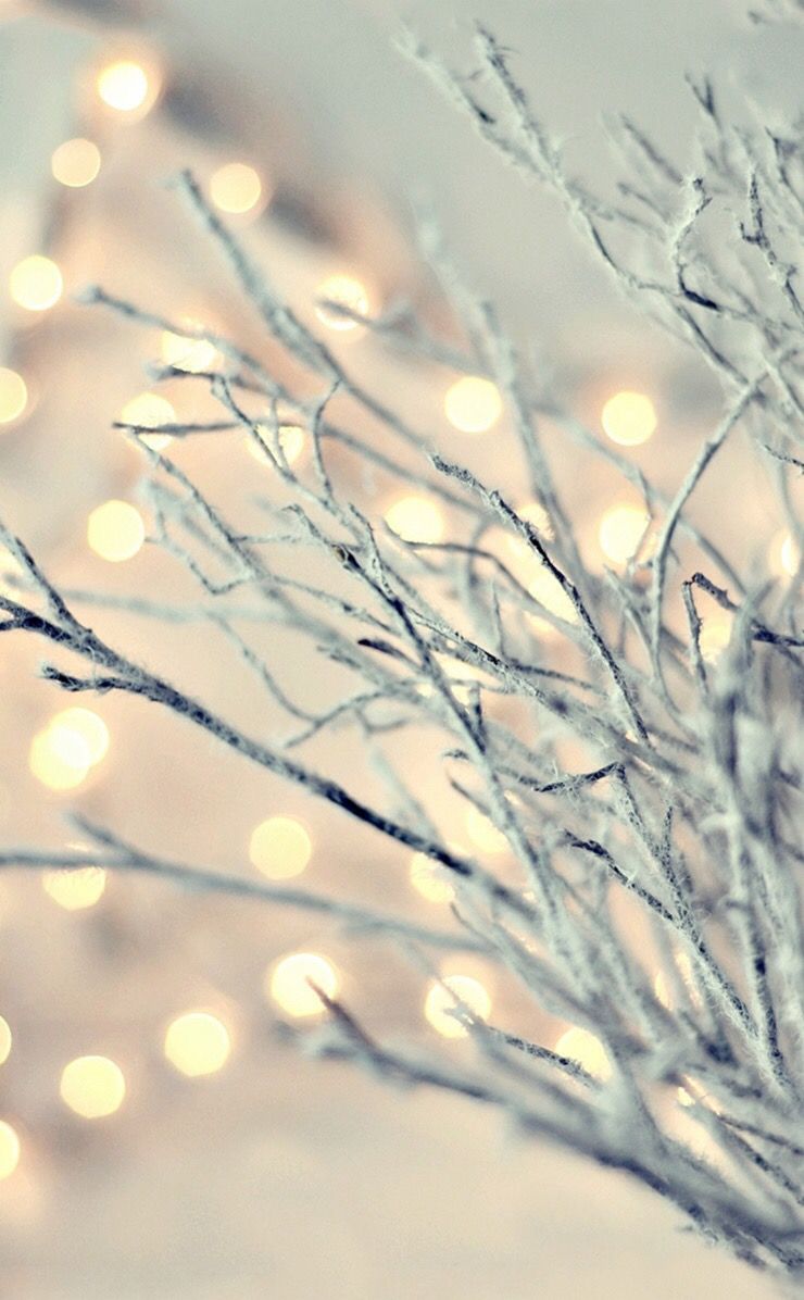 Sparkling winter branches. Hintergrundbilder winter, Hintergrund für weihnachtsfotos, Weihnachtsdeko häuser