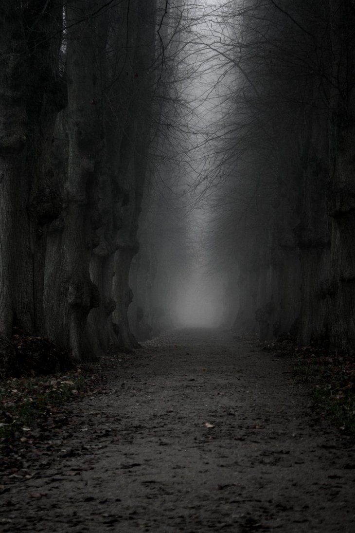 The dark, ominous path!. Dark photography, Dark forest, Fantasy landscape