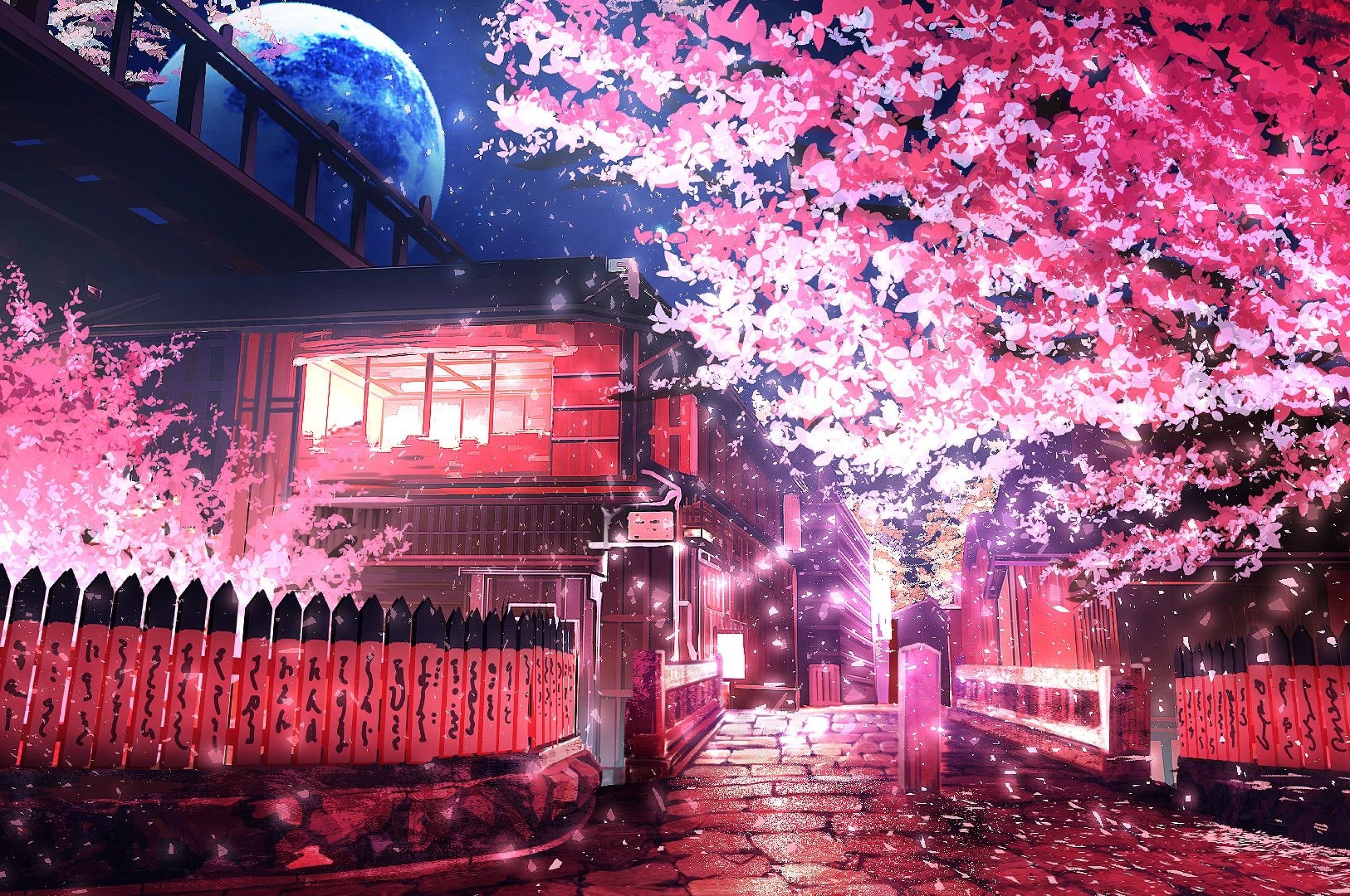 Anime Cherry Blossom 4K Wallpaper Free Anime Cherry Blossom 4K Background