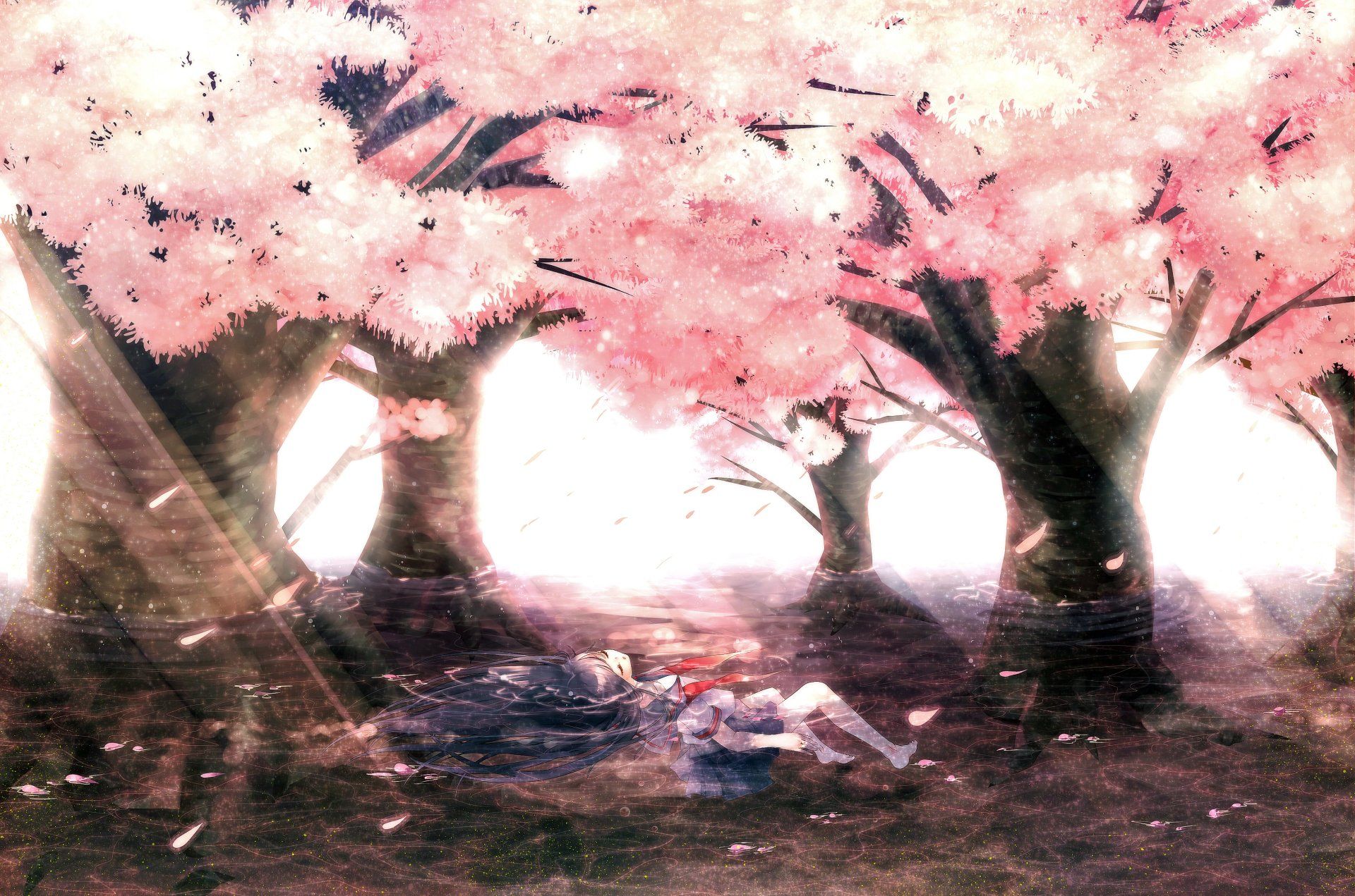 Anime Puella Magi Madoka Magica Homura Akemi Wallpaper. Anime cherry blossom, Cherry blossom wallpaper, Anime scenery