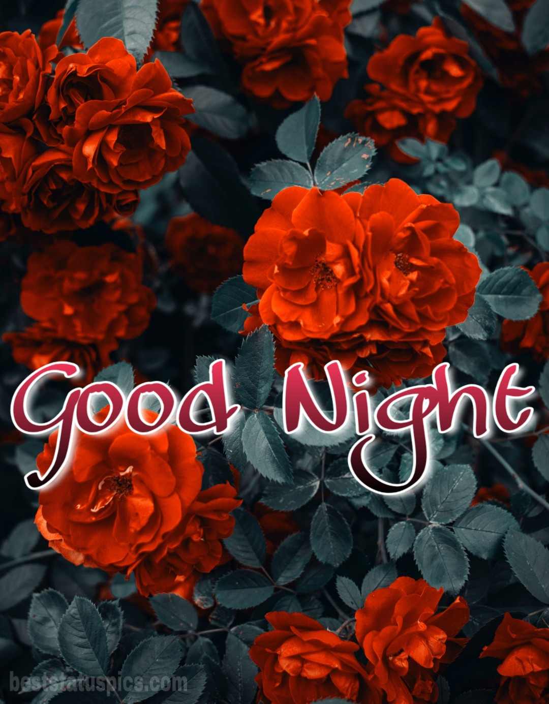 Top 999+ good night flower images free download – Amazing Collection good night flower images free download Full 4K