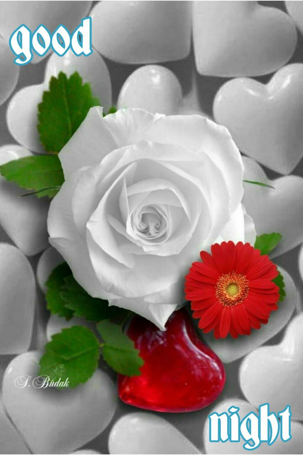 Good Night Beautiful Rose Image
