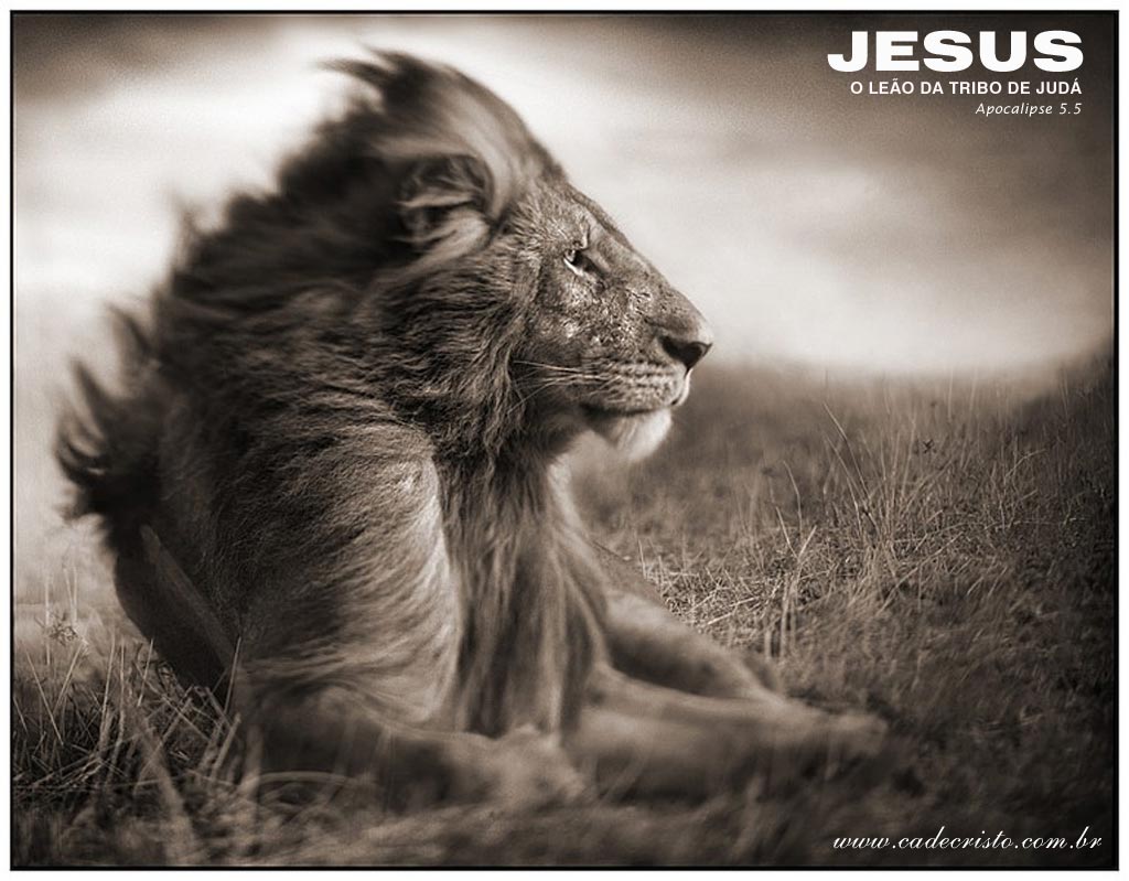 Jesus, Lion Christian Wallpaper Free Download
