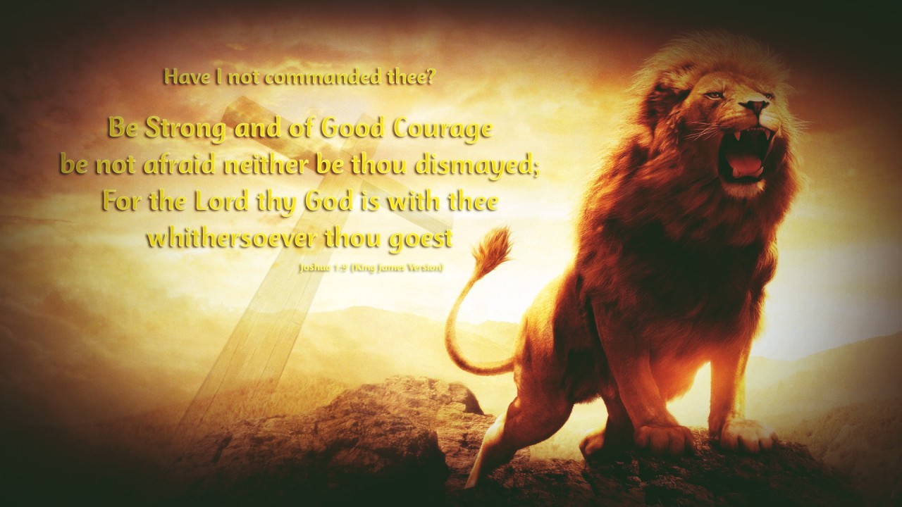 Lion of Judah (Jesus) John 1:9 KJV Wallpaper by RoseFireFox - Fur Affinity [dot] net