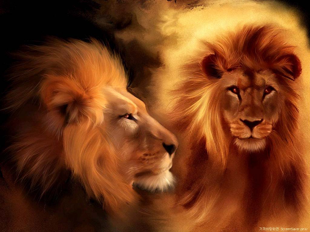 Lion Christian Wallpaper Free Download Animal Wallpaper 3D