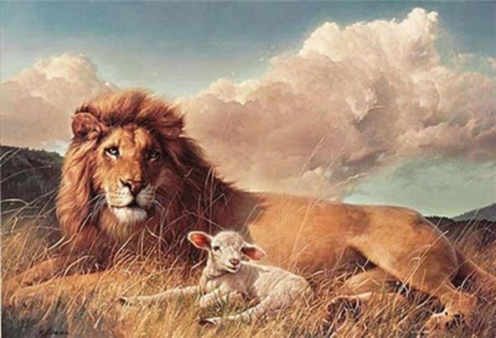 Free download Yeshua Jesus is Lord The Lion and The Lamb [1600x1092] for your Desktop, Mobile & Tablet. Explore Lion and Lamb Wallpaper. Lion and Lamb Wallpaper, Lamb Wallpaper