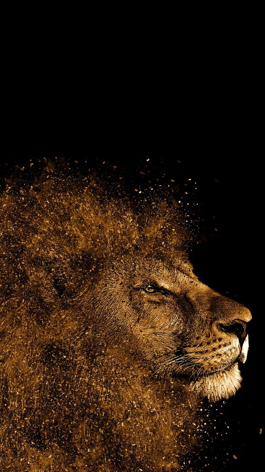 Wallaper. Phone wallpaper for men, Lion wallpaper, Jesus wallpaper