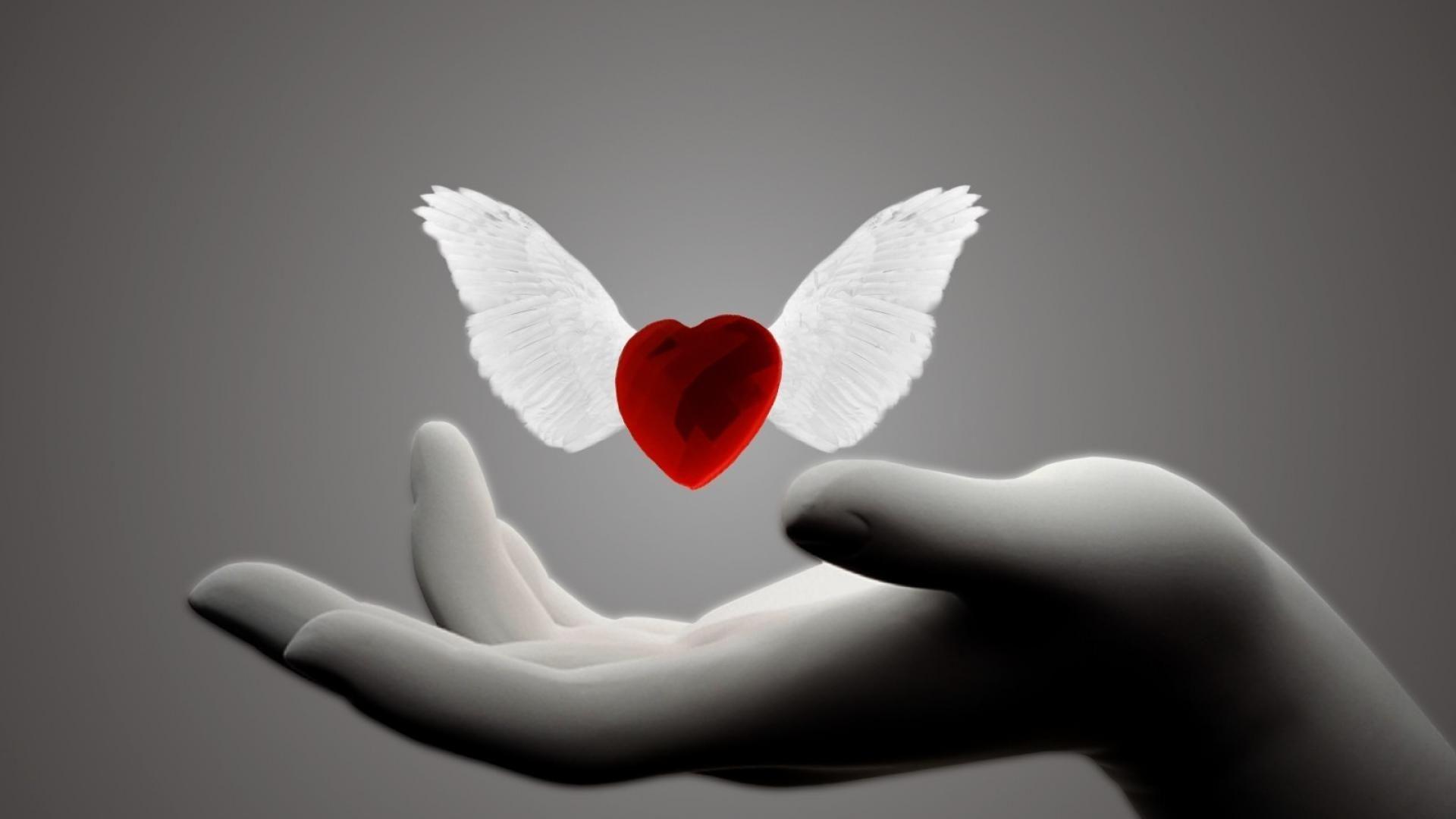 Loving Heart Background Wallpaper HD With Wings In Hand