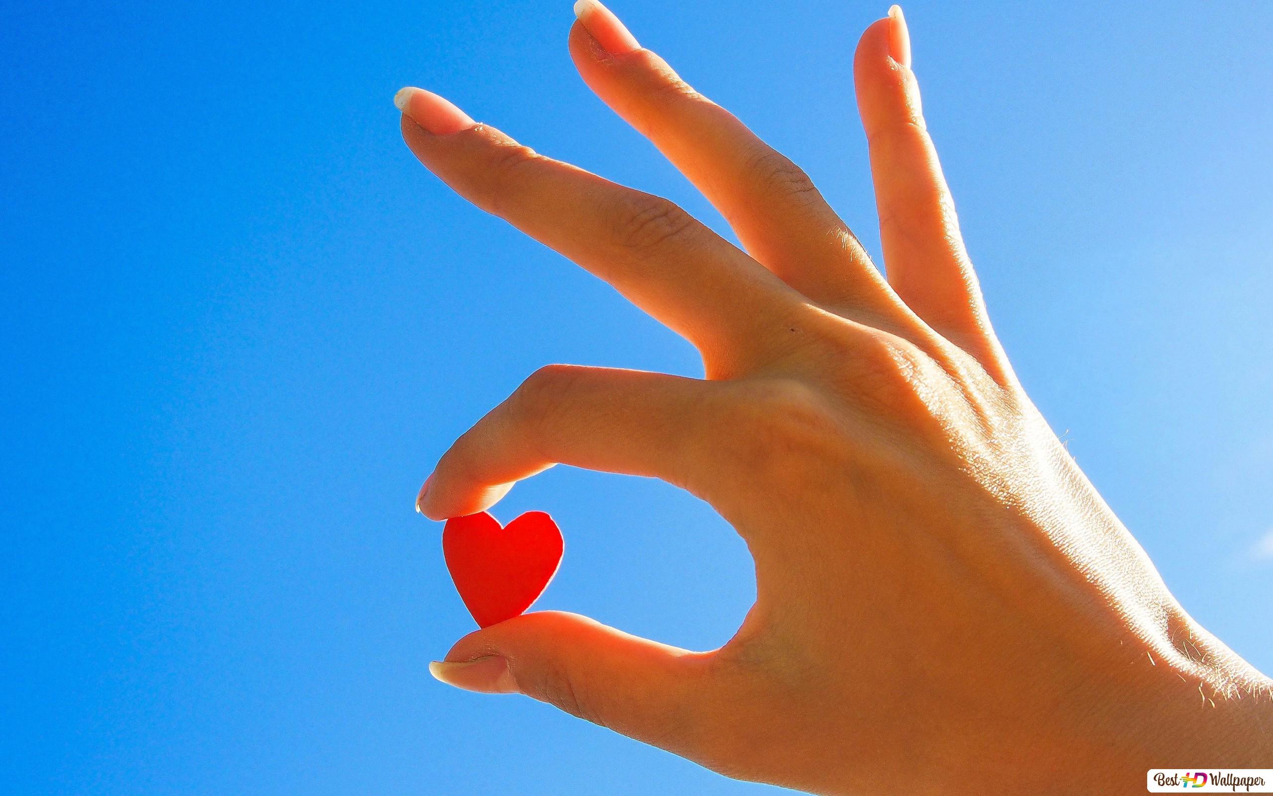 Heart in the hand HD wallpaper download