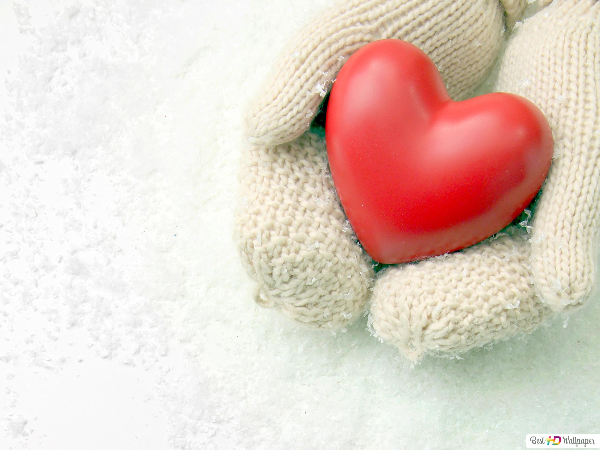 Valentine's day heart in the hand HD wallpaper download