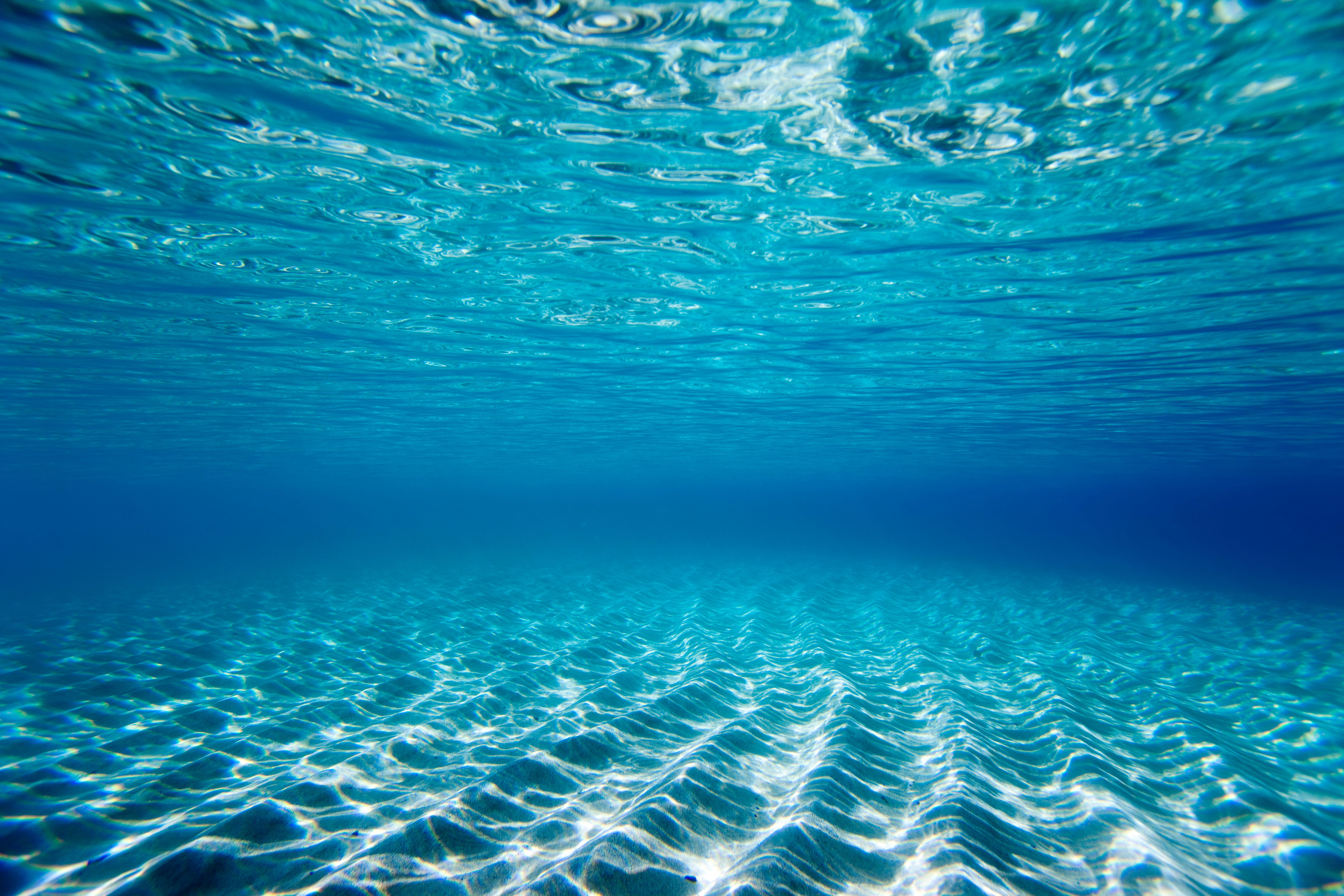Underwater Clear Ocean.